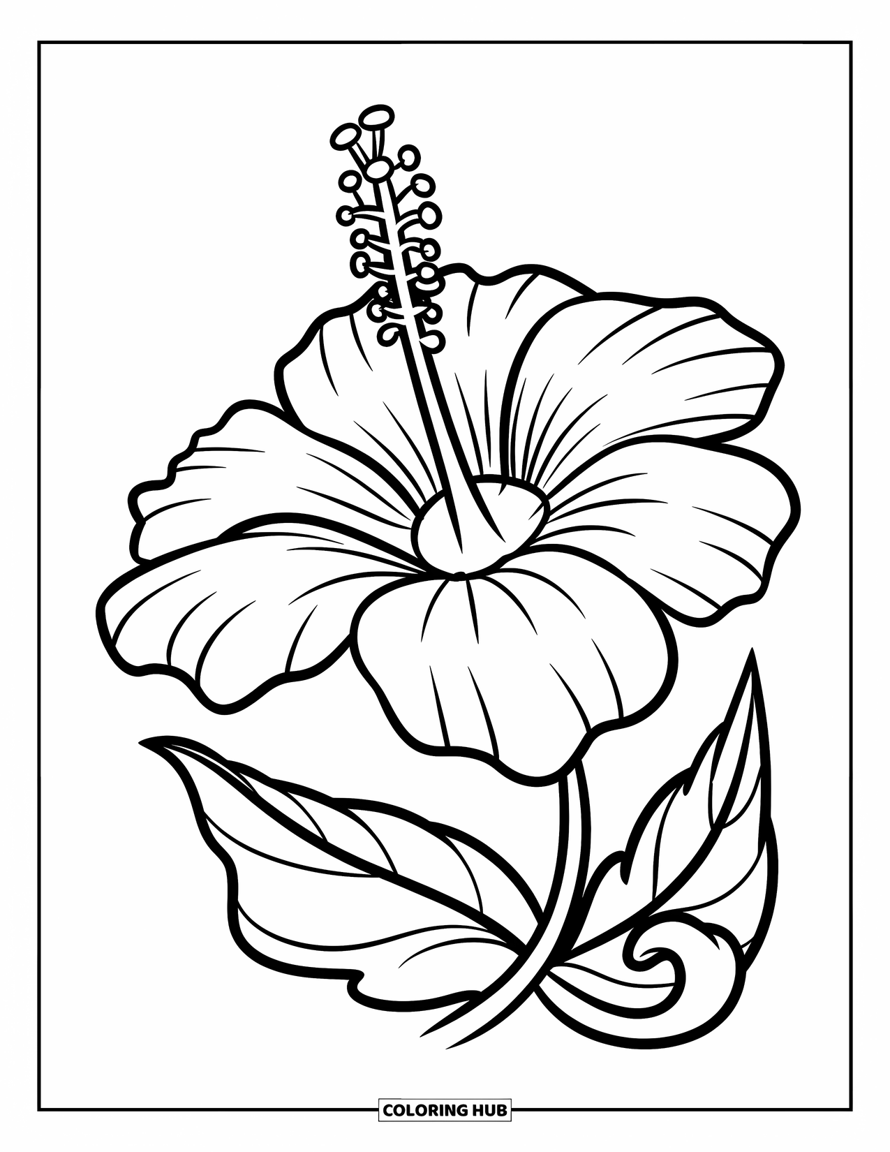 Dibujo de flores para colorear para niños: Una gran flor de hibisco con un tallo curvo y una sola hoja que se enrosca hacia afuera