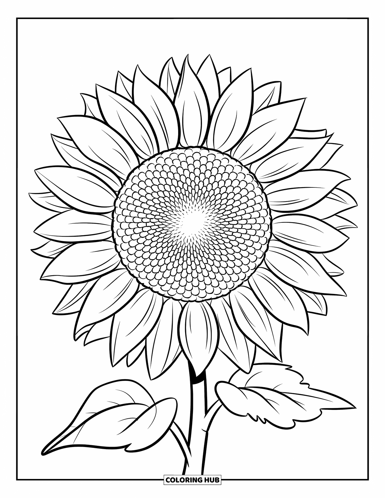 Dibujo de flores para colorear para niños: Un girasol grande con un llamativo centro en espiral y pétalos en capas en un diseño floral expresivo