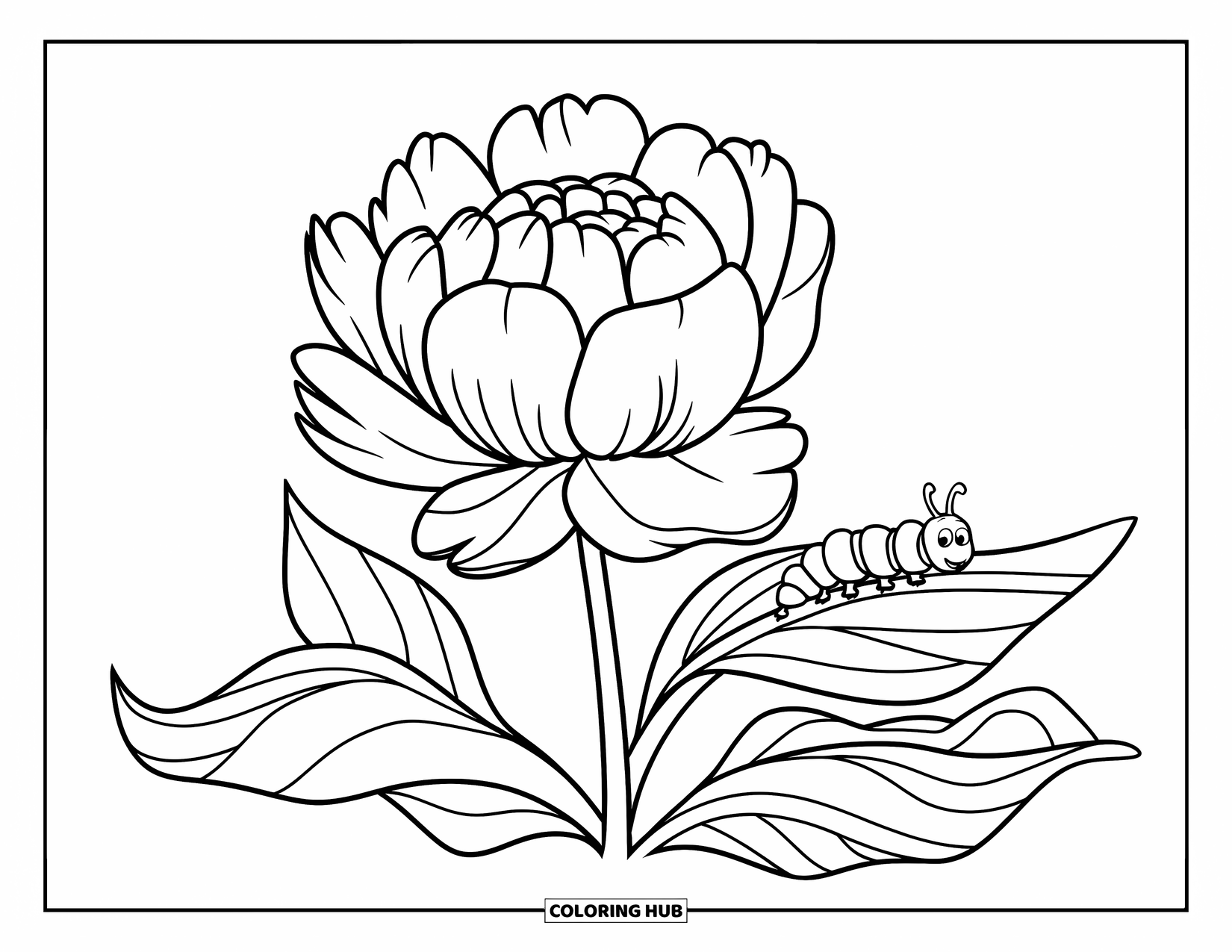 Dibujo de flores para colorear para niños: Una peonía con pétalos esponjosos y una pequeña oruga gateando sobre una de sus hojas
