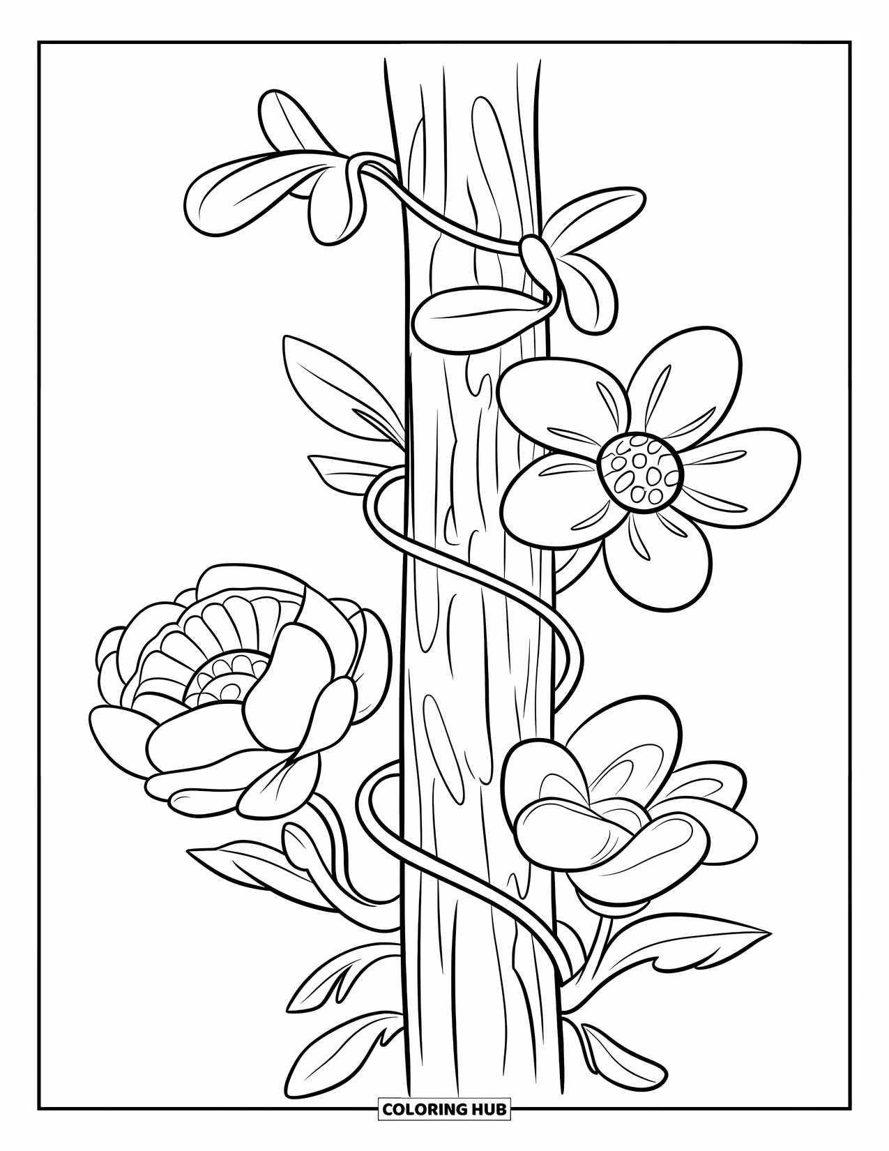 Dibujo de flores para colorear para niños: Una pequeña enredadera con tres flores únicas que se enrollan alrededor de un poste de madera
