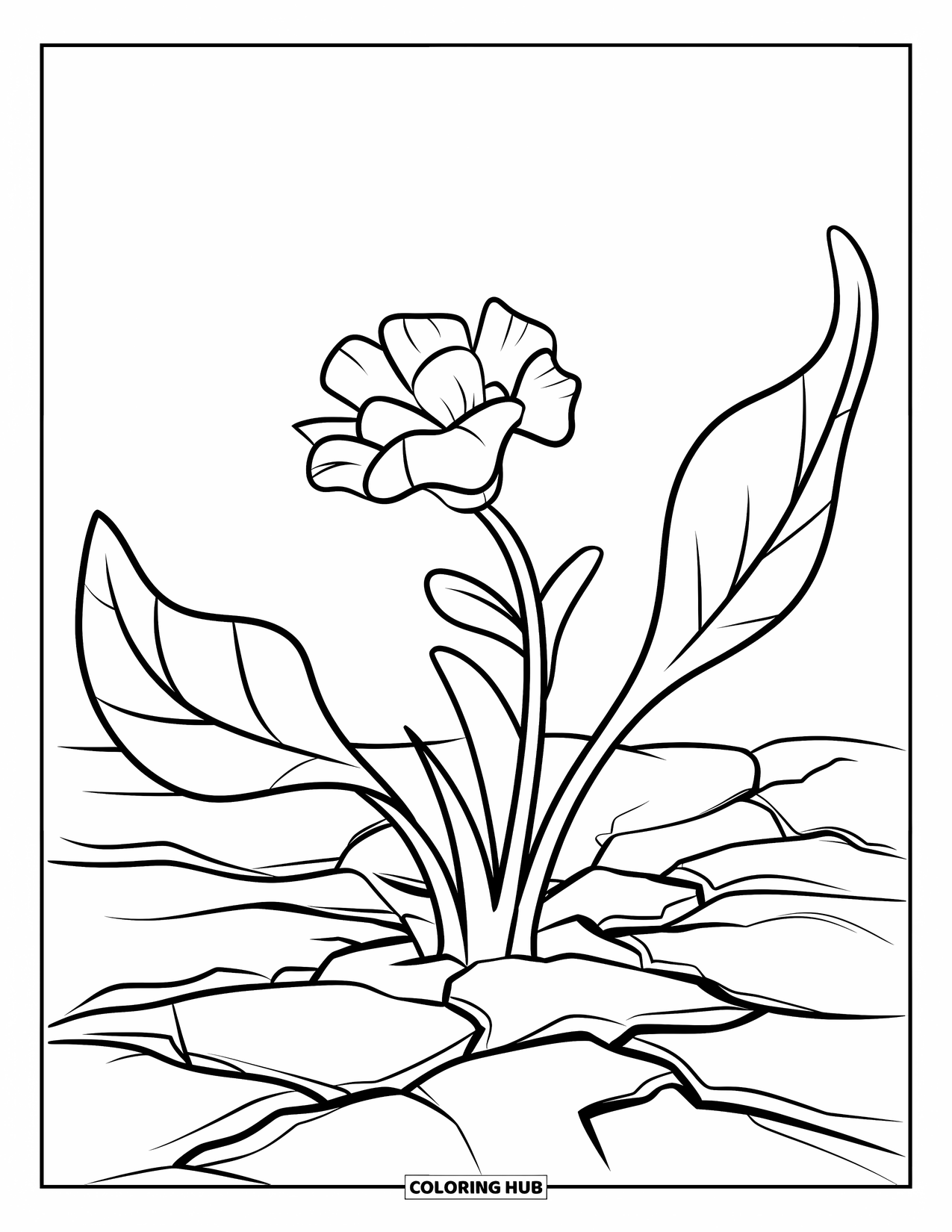 Dibujo de flores para colorear para niños: Una flor brotando con hojas anchas que se extienden desde su tallo, creciendo desde tierra texturizada