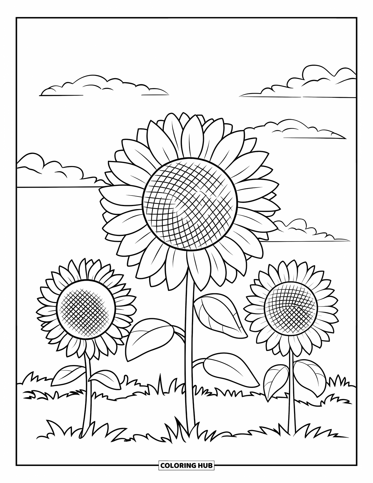 Dibujo de flores para colorear para niños: Un campo de girasoles con pétalos a rayas y nubes dispersas, diseñado con detalles limpios y atractivos