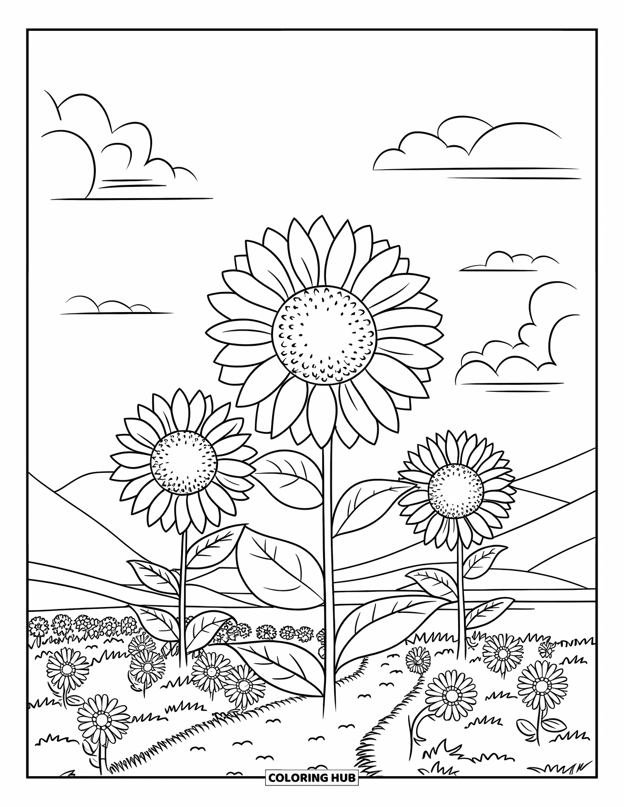 Dibujo de flores para colorear para niños: Un campo de girasoles con tres grandes flores, un camino sinuoso y pequeñas nubes en el cielo