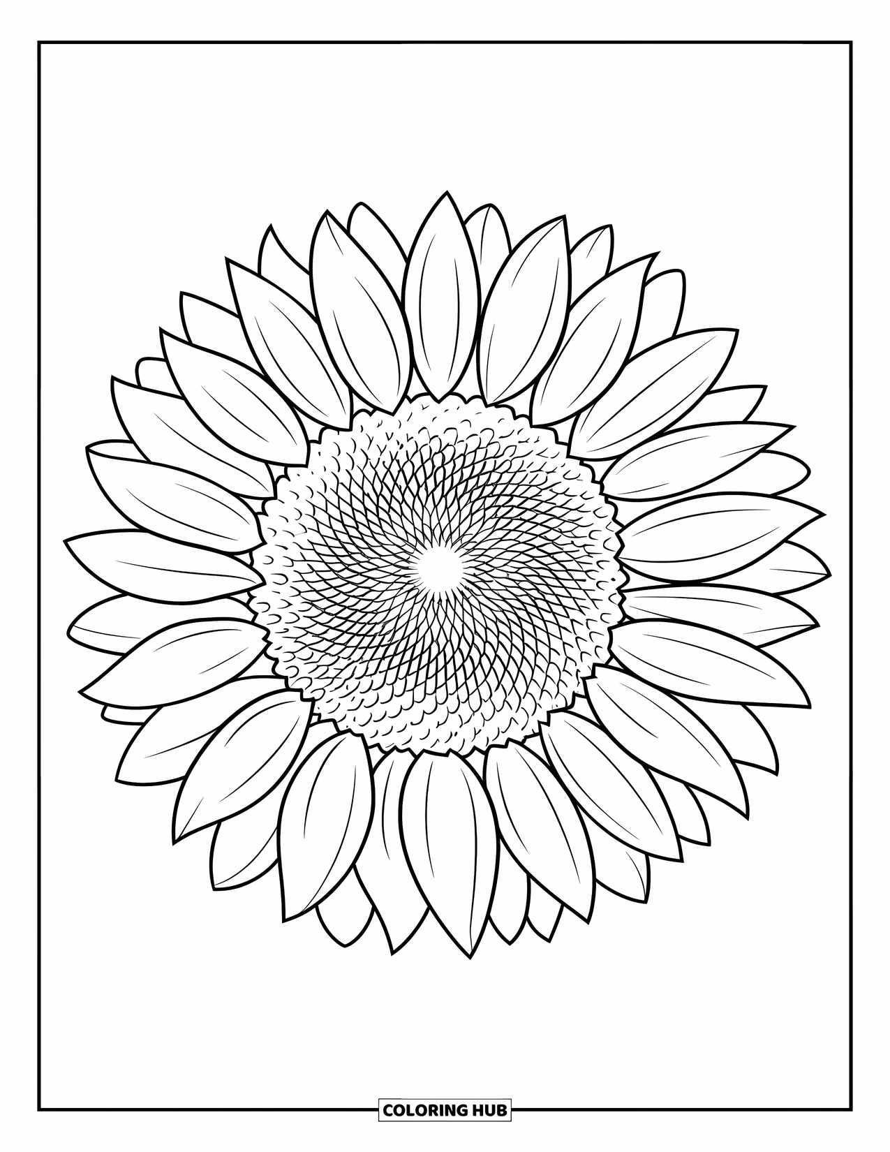 Dibujo de flores para colorear para niños: Un girasol con un centro en espiral y pétalos texturizados en plena floración