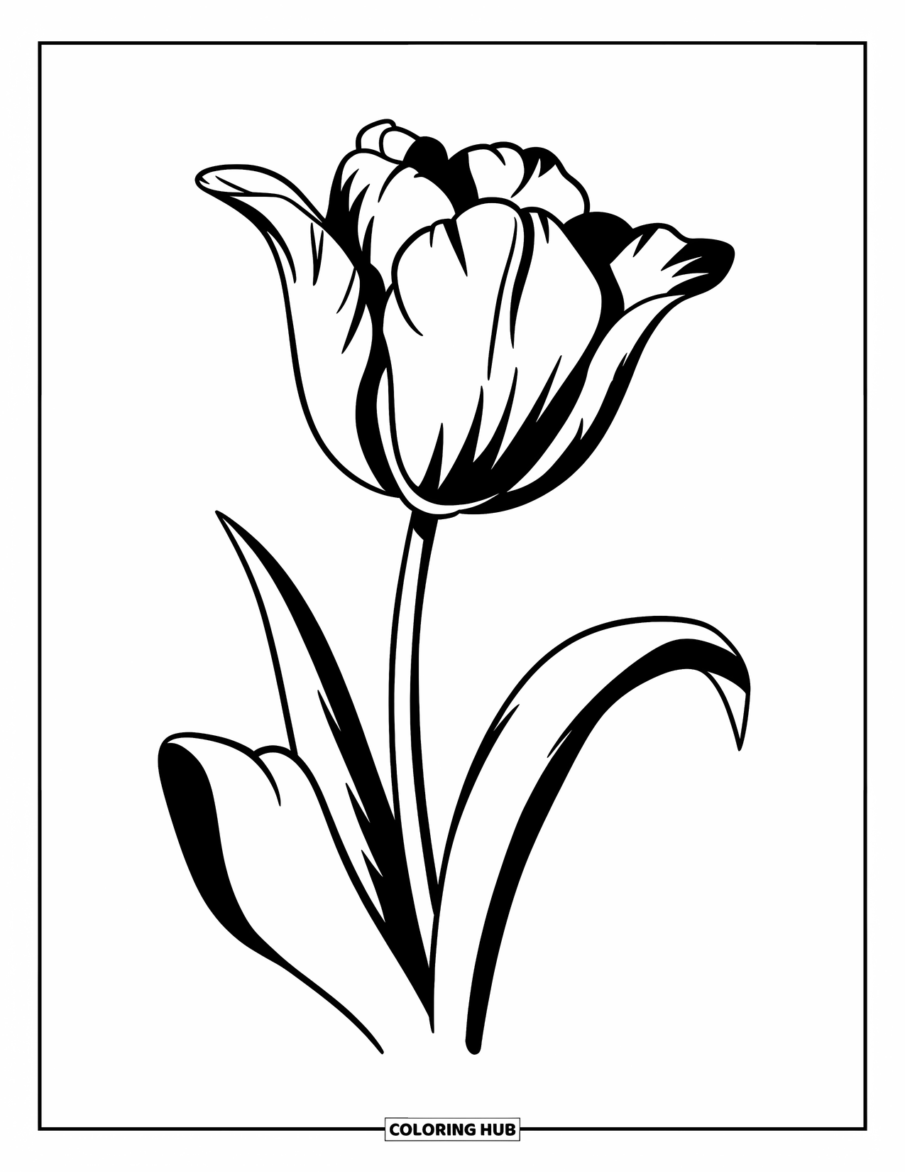 Dibujo de flores para colorear para niños: Un tulipán con un tallo recto y pétalos elegantemente curvos