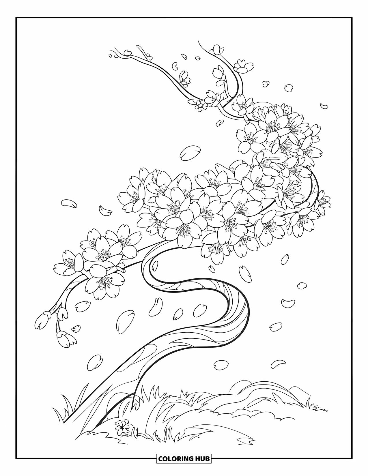 Dibujo de flores para colorear para niños: Una rama retorcida sostiene flores de cerezo en flor, con pétalos flotando en el aire y esparcidos debajo