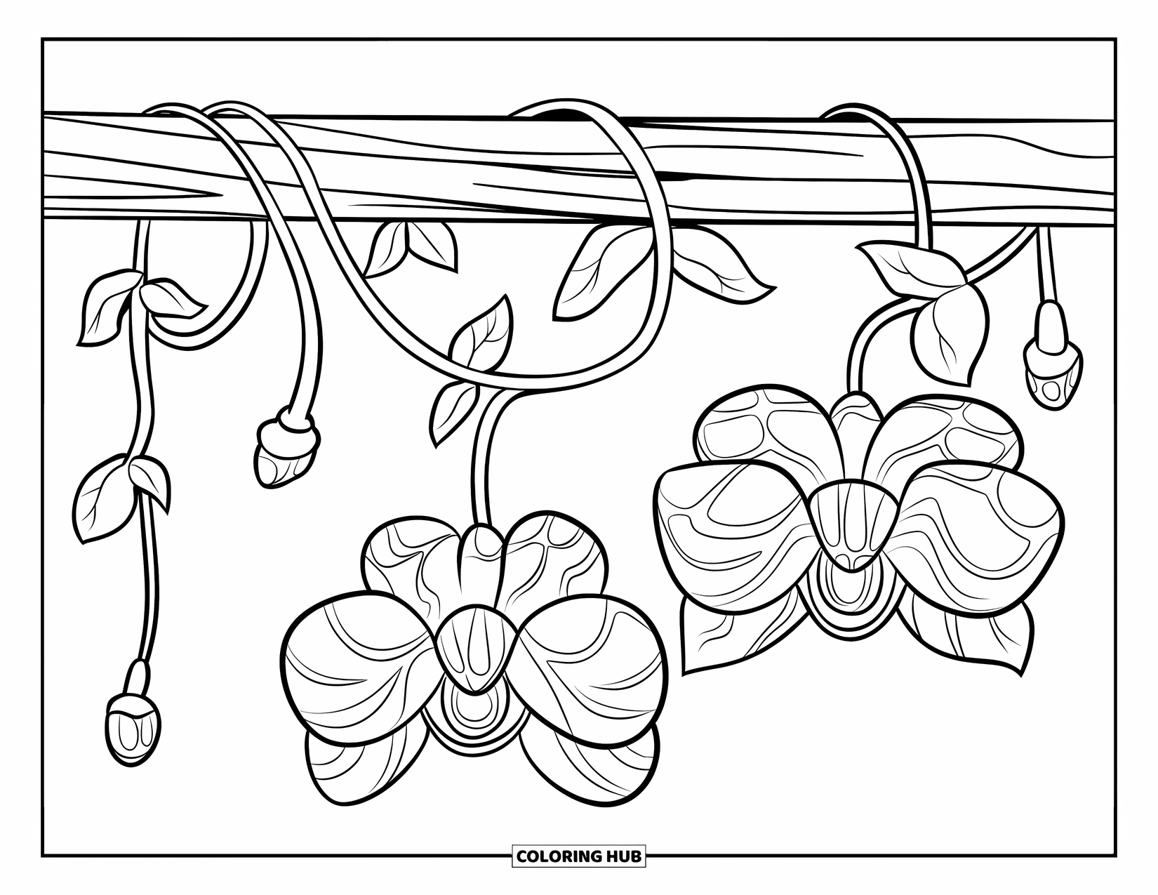Dibujo de flores para colorear para niños: Una enredadera retorcida con flores de aspecto alienígena y brotes colgantes se envuelve alrededor de un poste de madera