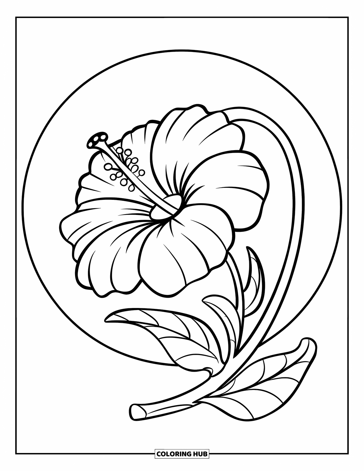 Dibujo de flores para colorear para niños: Una vibrante flor de hibisco con una estructura de pétalos audaz y un tallo curvo
