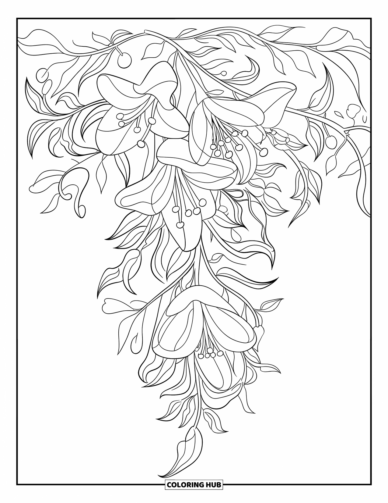 Dibujo de flores para colorear para niños: Un arreglo de grandes lirios y hojas intrincadamente detalladas cae en cascada hacia abajo en un diseño fluido