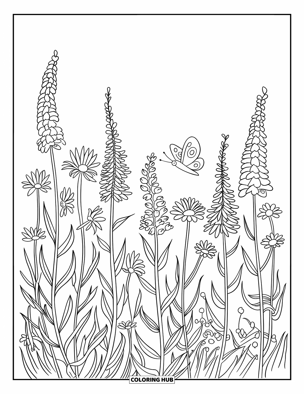 Dibujo de flores para colorear para niños: Altas flores silvestres en diferentes etapas de floración se balancean suavemente, con una mariposa volando por encima