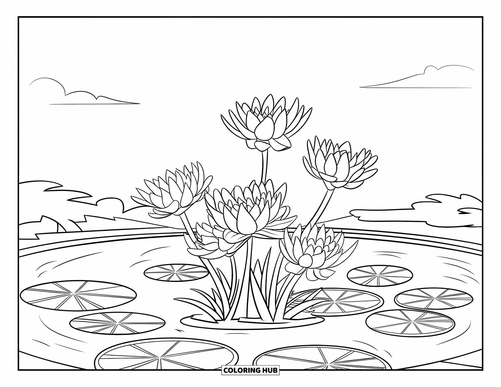 Dibujo de flores para colorear para niños: Nenúfares con pétalos grandes y redondos descansan sobre hojas de lirio en un estanque tranquilo bajo un cielo despejado