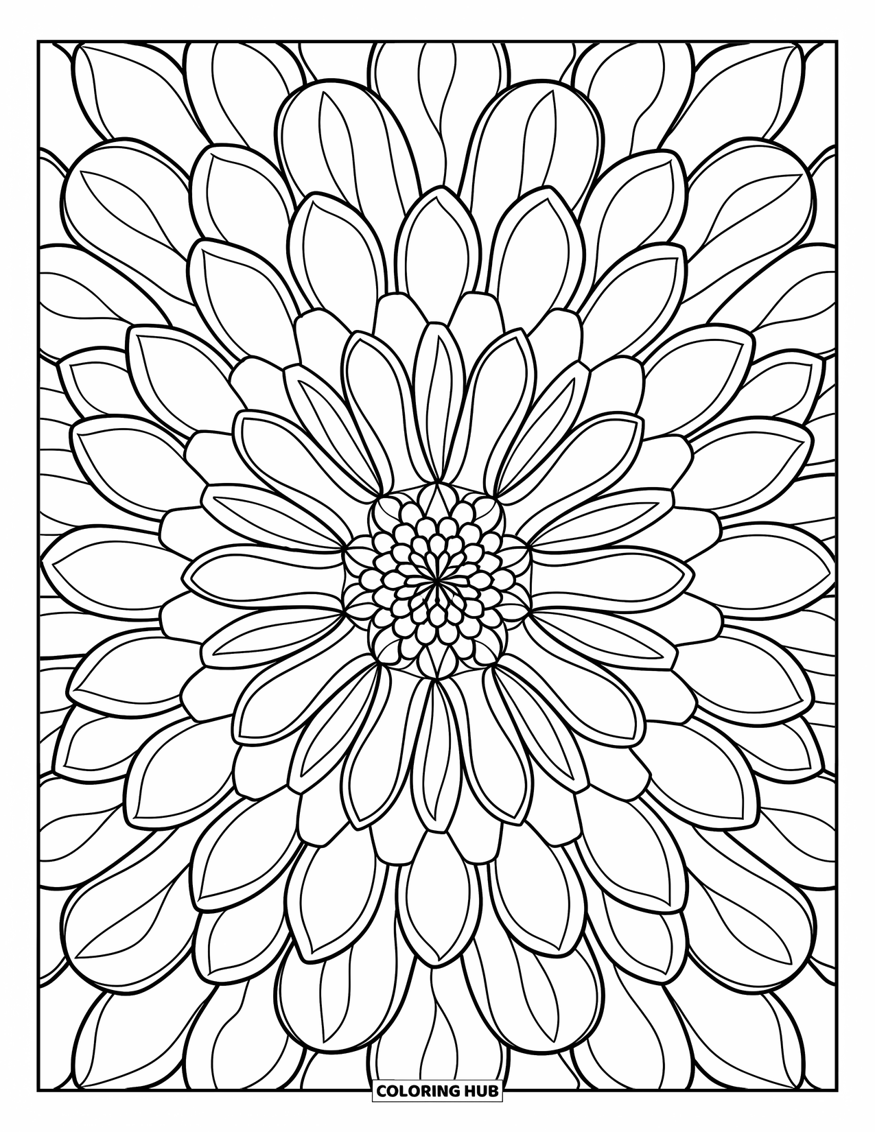 Desenho de mandala de flor para colorir para adultos: Uma mandala de dália calma feita de linhas finas e formas de pétalas simétricas