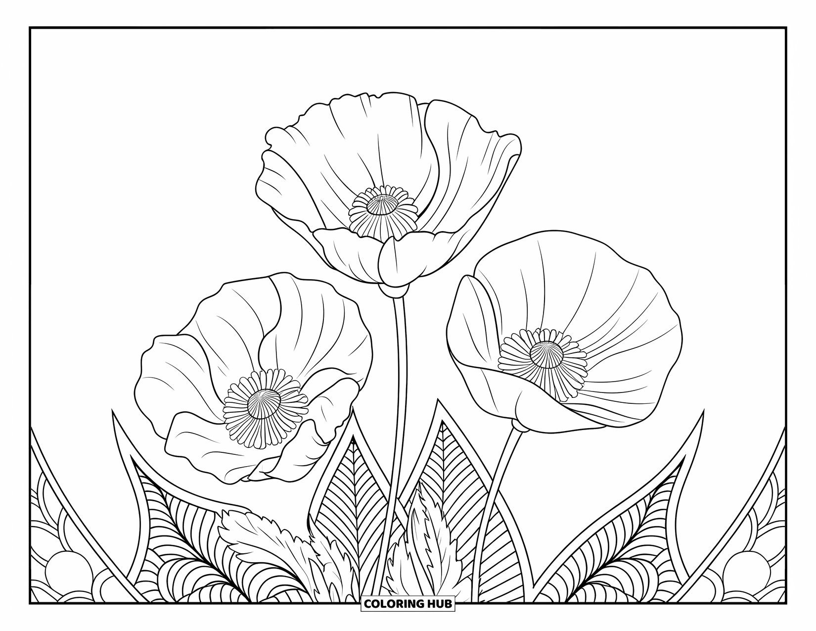 Desenho de mandala de flor para colorir para adultos: Uma mandala de papoula clássica com pétalas ousadas e padrões delicados para colorir relaxante