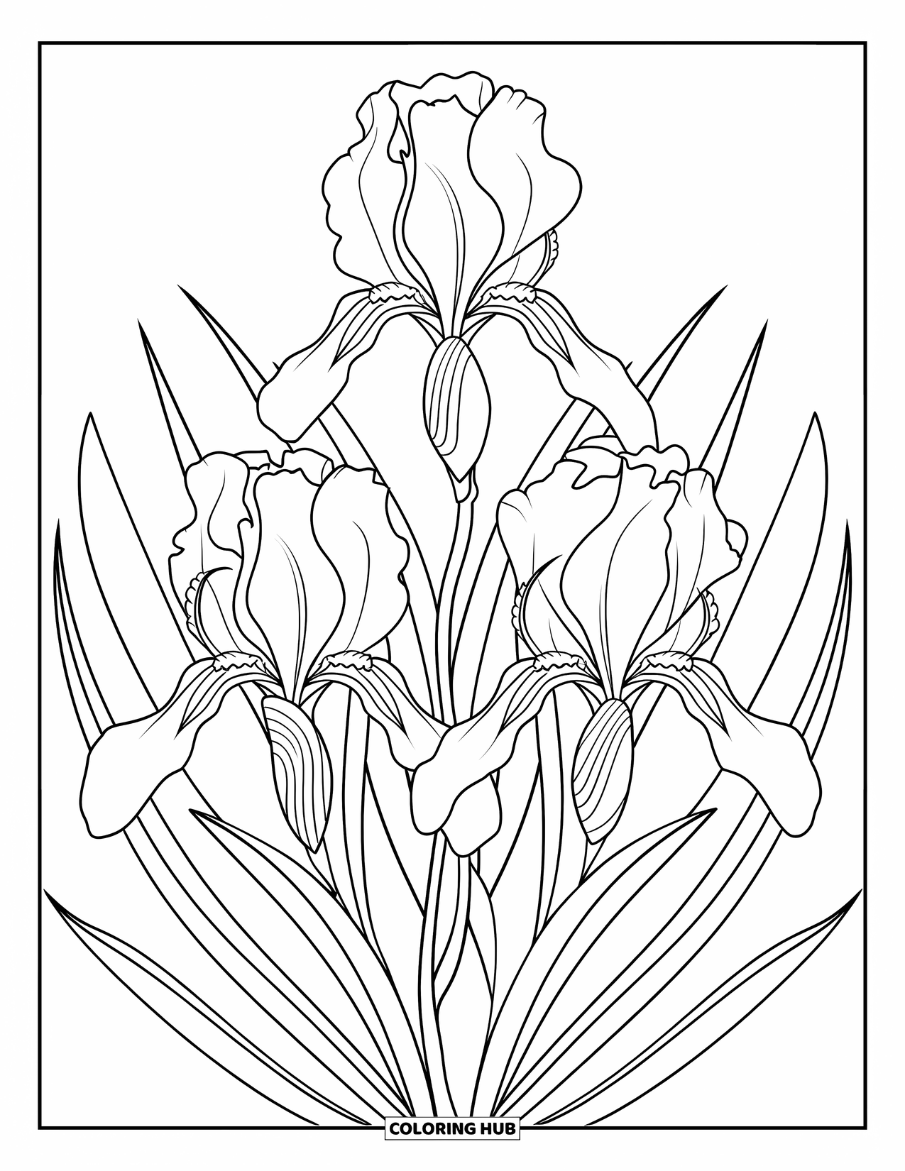 Desenho de mandala de flor para colorir para adultos: Uma delicada mandala de íris com linhas ornamentais e formas florais fluidas