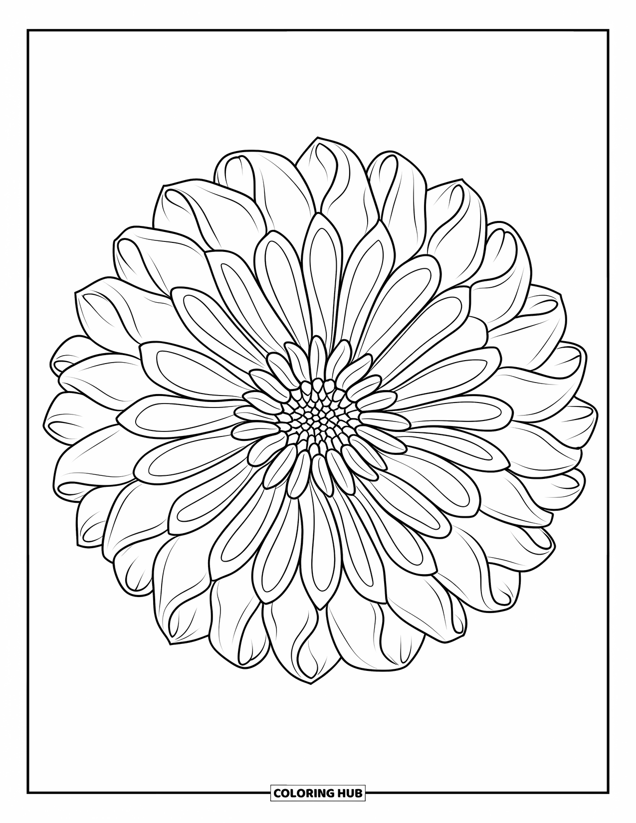Desenho de mandala de flor para colorir para adultos: Uma mandala de dália detalhada com pétalas simétricas se expandindo em camadas finas