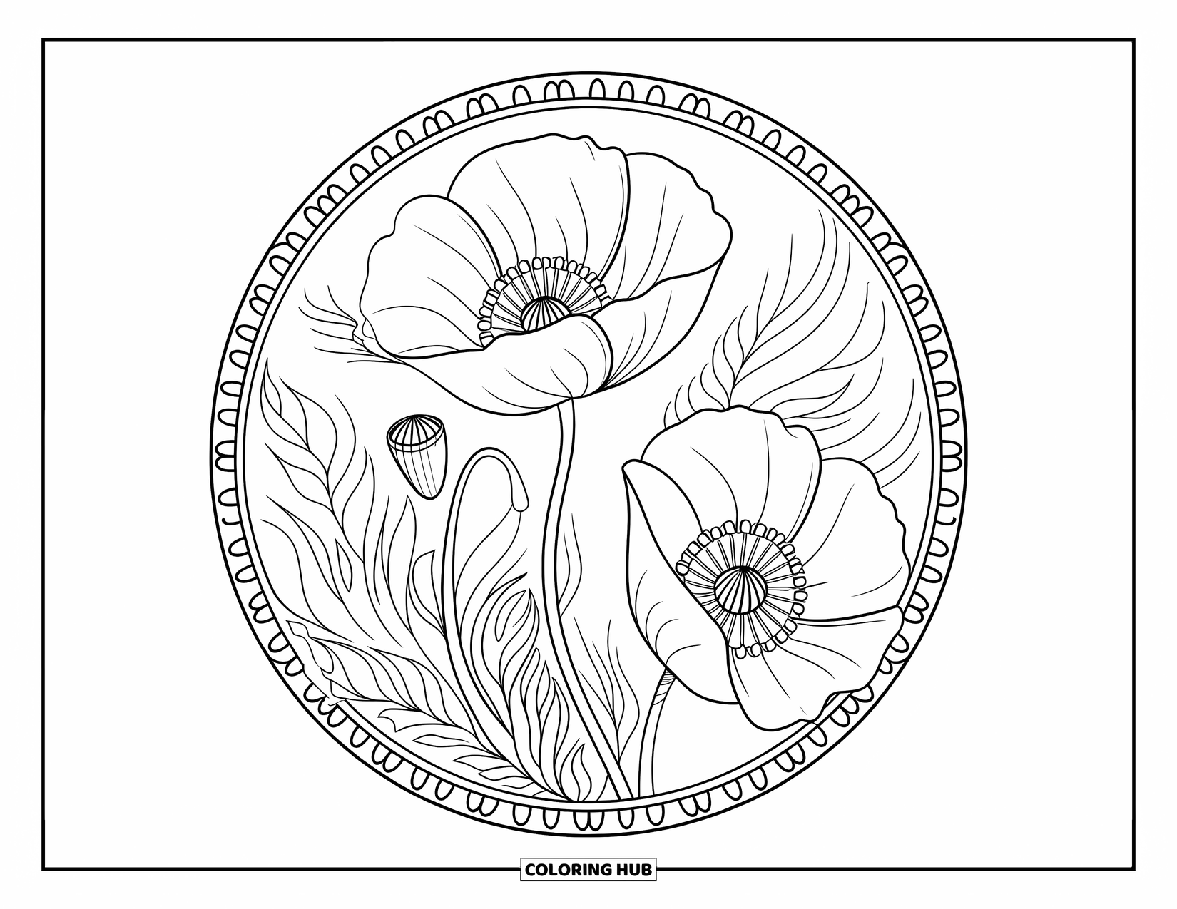 Desenho de Mandala de Flores para Colorir para Adultos: Uma mandala de papoula suave com contornos nítidos e um toque de detalhe floral