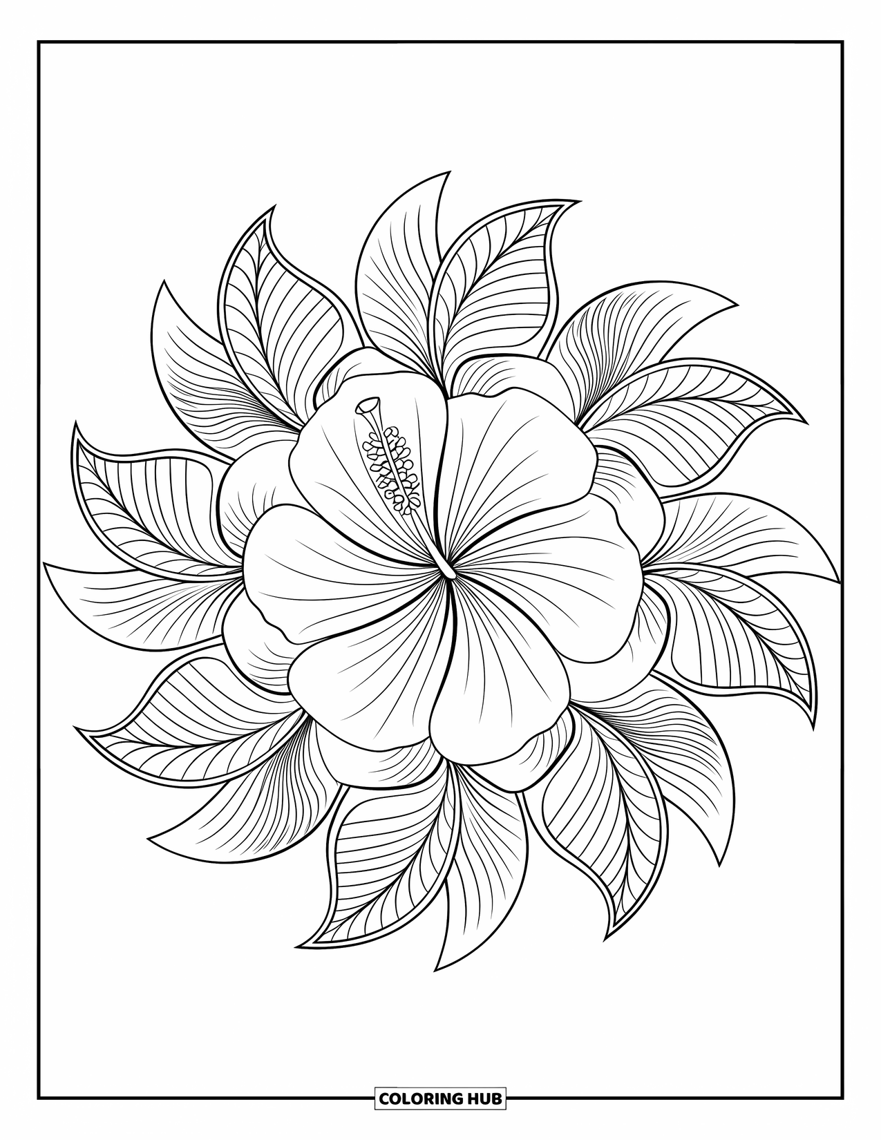 Desenho de mandala de flor para colorir para adultos: Uma mandala tropical de hibisco cheia de pétalas fluidas e padrões em camadas