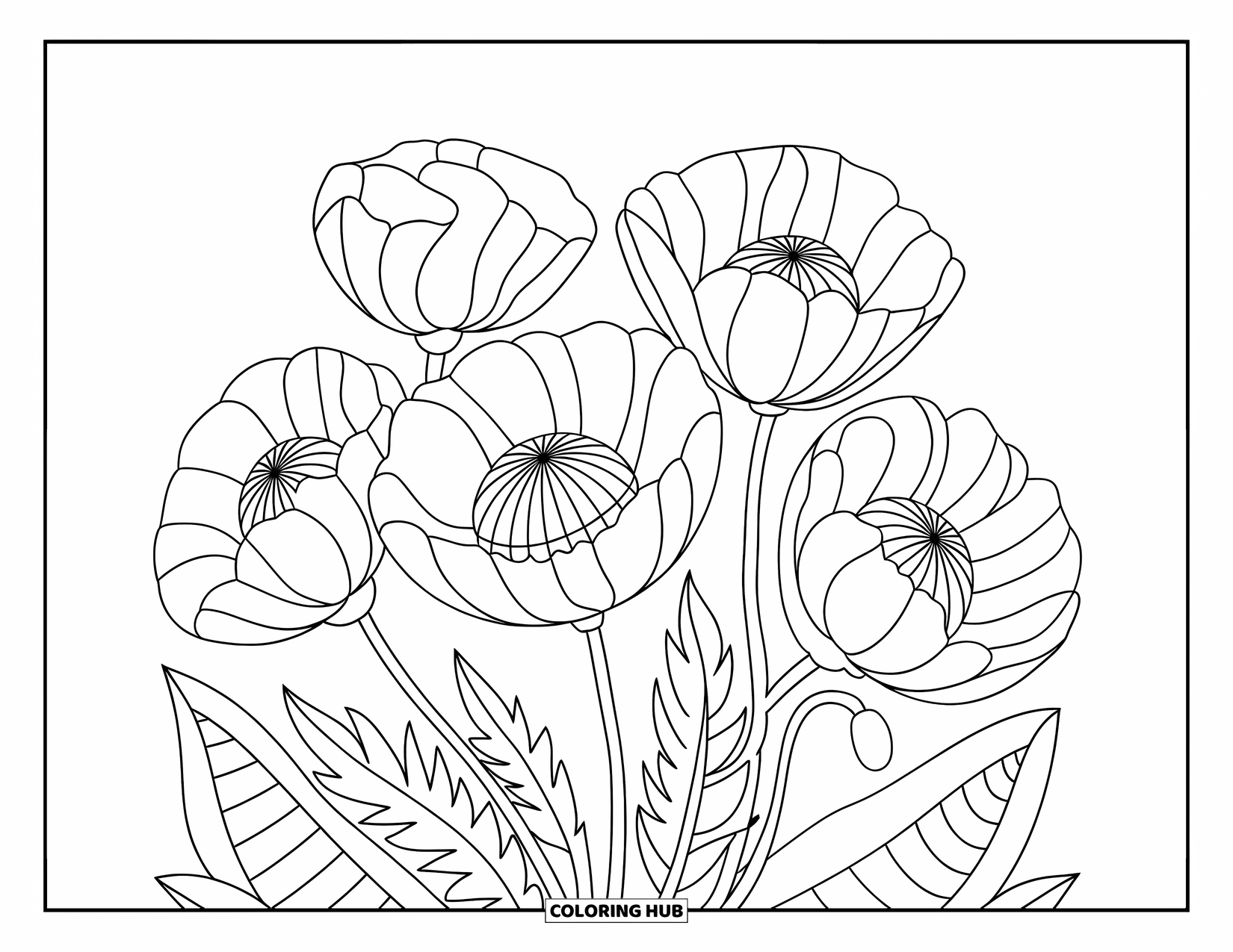Desenho de Mandala de Flores para Colorir para Adultos: Pétalas de papoula marcantes e estames intrincados formam um design de mandala calmo e elegante