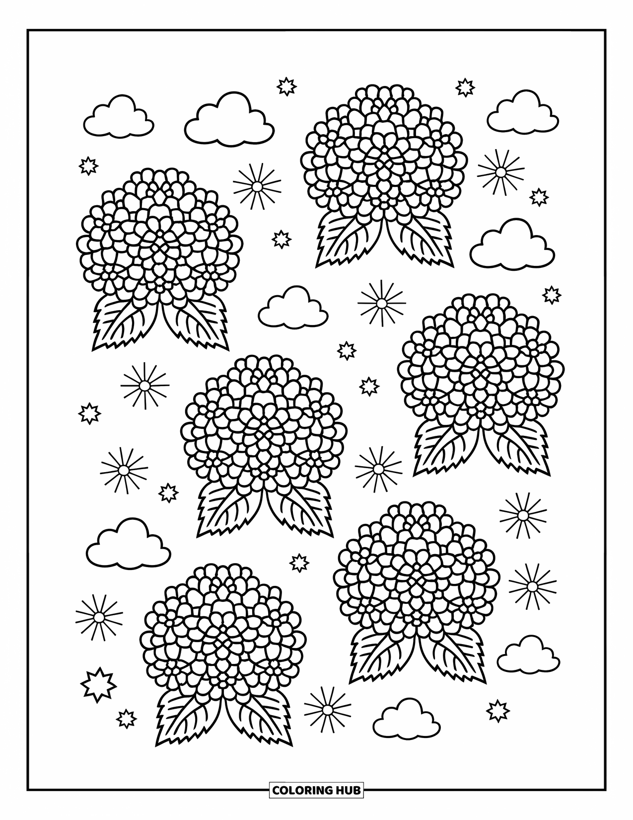 Desenho de Mandala de Flores para Colorir para Adultos: Hortênsias agrupadas formam uma mandala borbulhante com nuvens, pétalas e explosões de estrelas divertidas