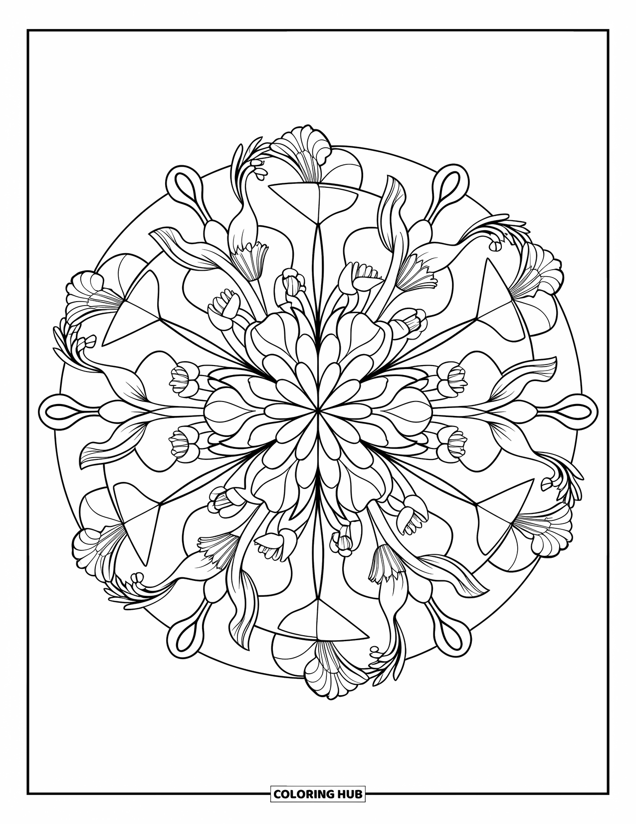 Desenho de mandala de flor para colorir para adultos: Narcisos, lírios e flores silvestres florescem em harmonia geométrica equilibrada