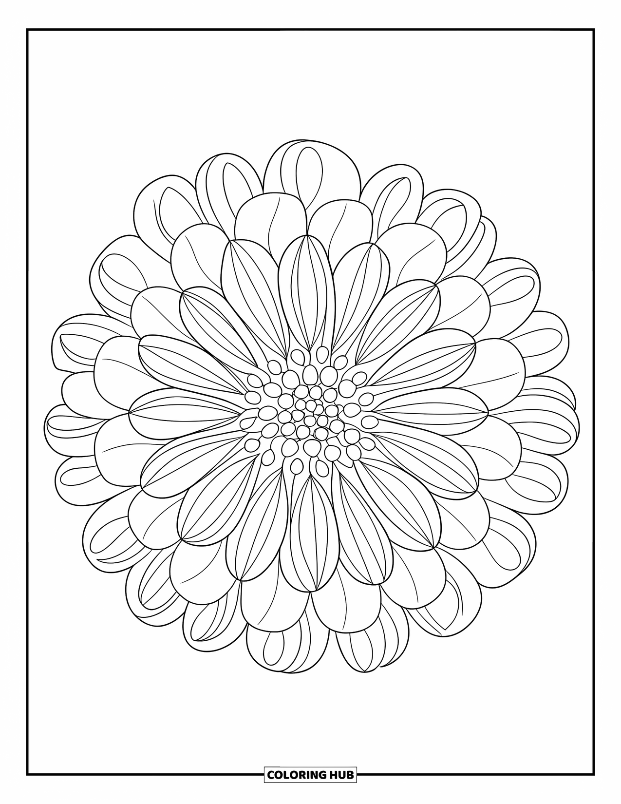 Desenho de mandala de flor para colorir para adultos: Pétalas delicadas de dália irradiam para fora em uma mandala ousada e suave
