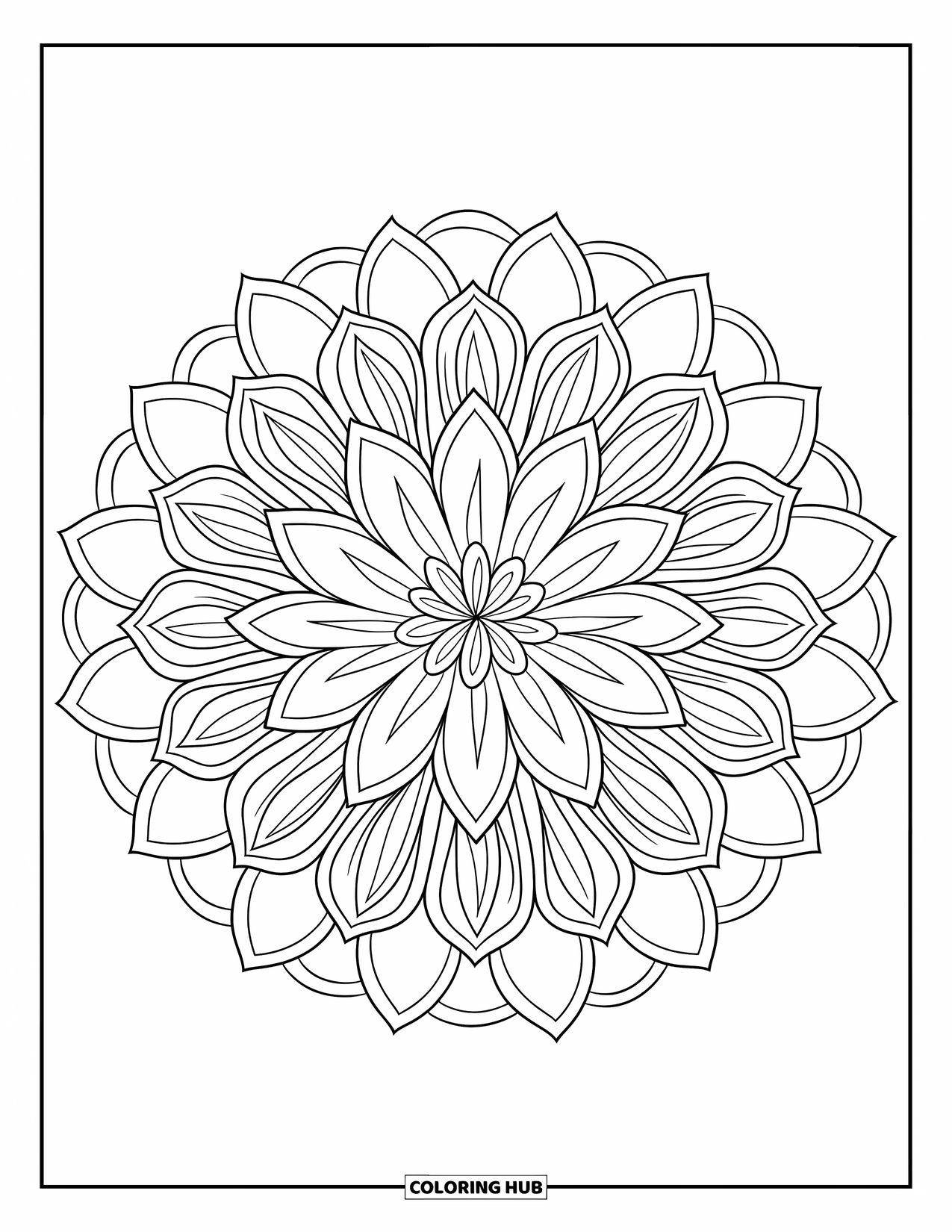 Desenho de mandala de flor para colorir para adultos: Pétalas de lótus e crisântemo criam uma mandala espiritual cheia de detalhes calmos