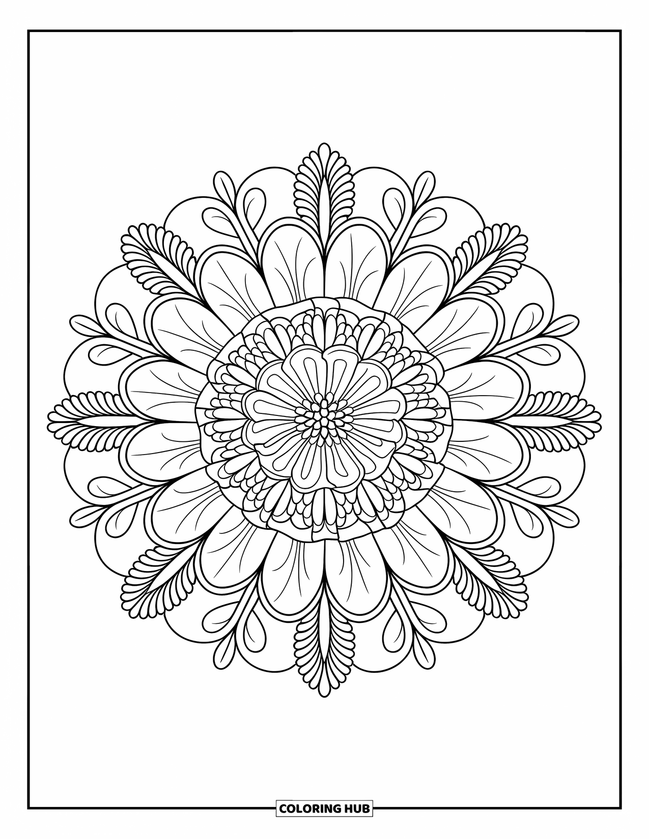 Desenho de mandala de flor para colorir para adultos: Pétalas de calêndula criam uma mandala circular com um ritmo calmo e suave