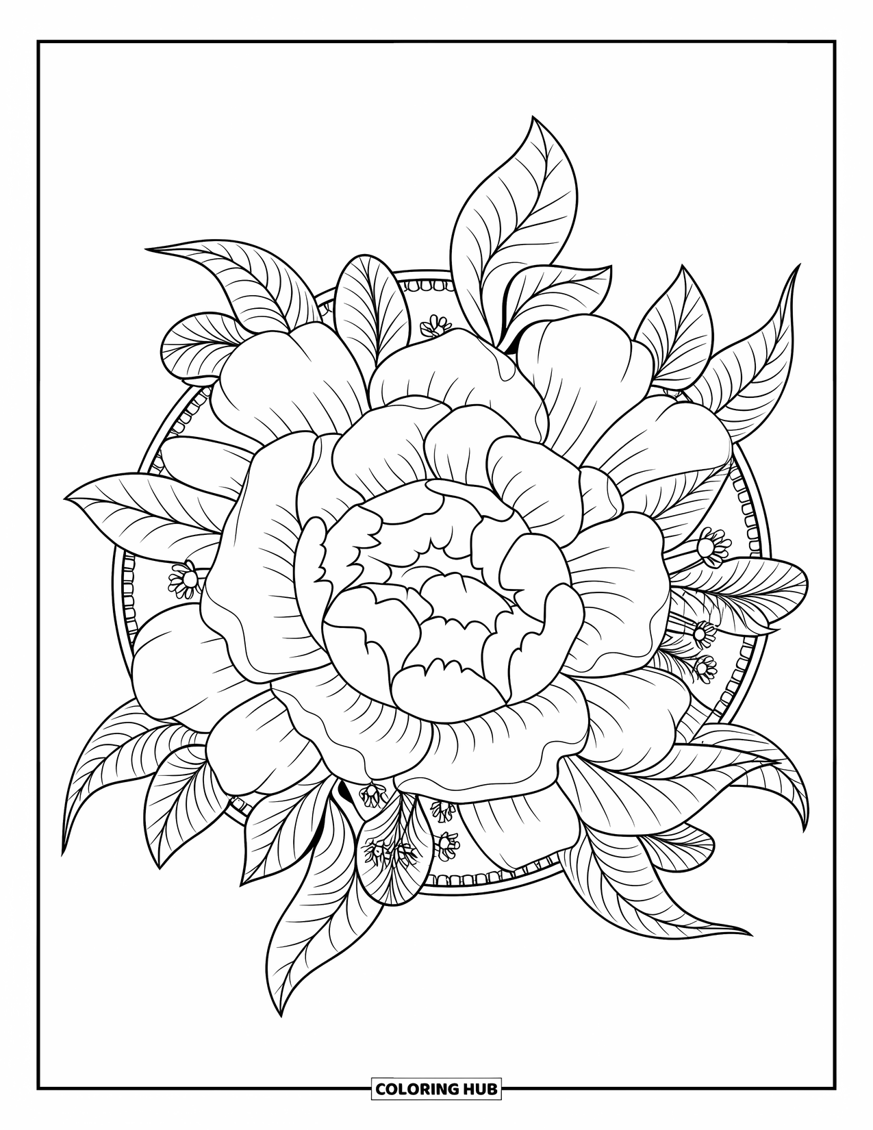 Desenho de mandala de flor para colorir para adultos: Pétalas e folhas de peônia giram juntas em uma mandala floral suave