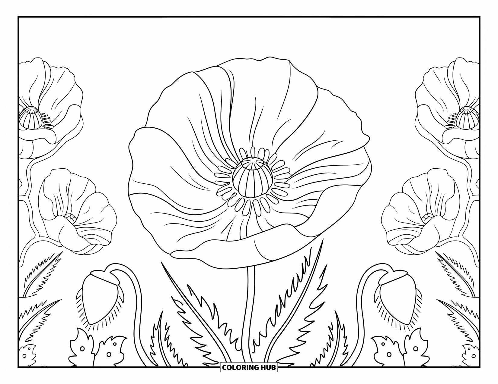 Desenho de mandala de flor para colorir para adultos: Flores de papoula florescem em uma mandala ousada cercada por formas botânicas suaves