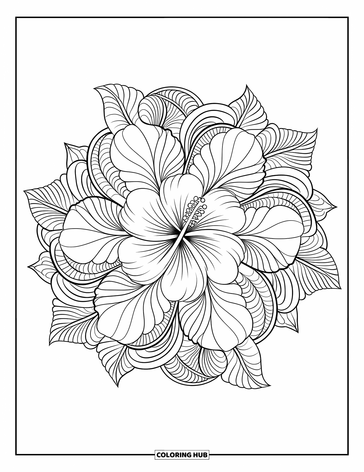 Desenho de mandala de flor para colorir para adultos: Pétalas de hibisco tropical formam uma mandala graciosa com linhas elegantes e fluidas