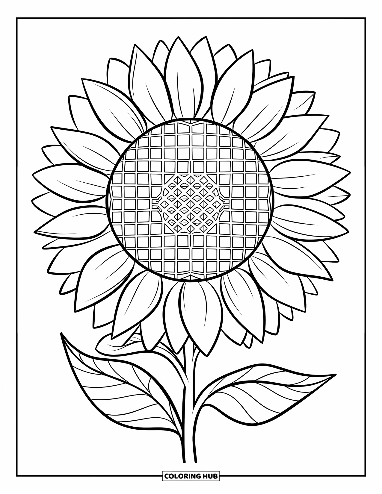 Desenho de Mandala de Flores para Colorir para Crianças: Uma mandala de girassol com pétalas finas e um círculo de favo de mel no meio