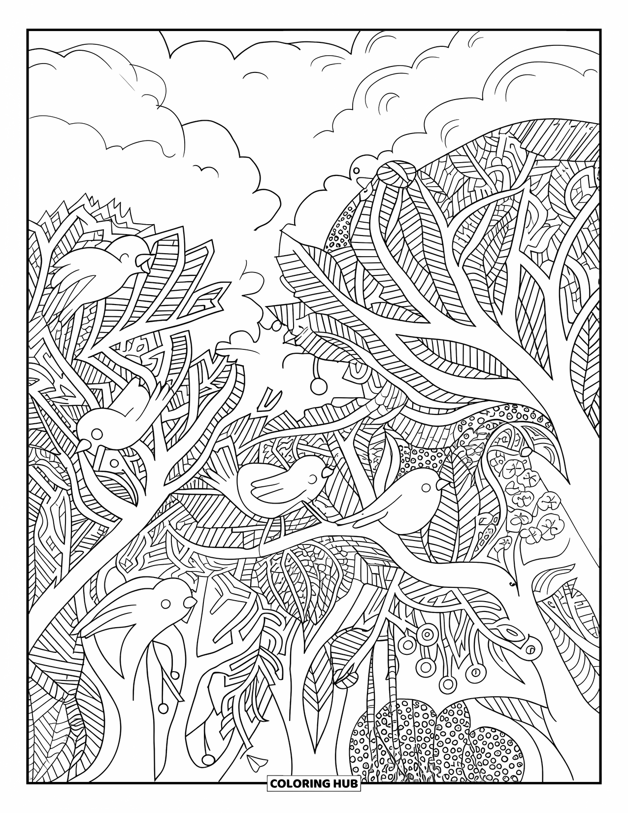 Dibujo de bosque para colorear para adultos: Un dosel tranquilo con pájaros y ramas entrelazadas entre hojas detalladas