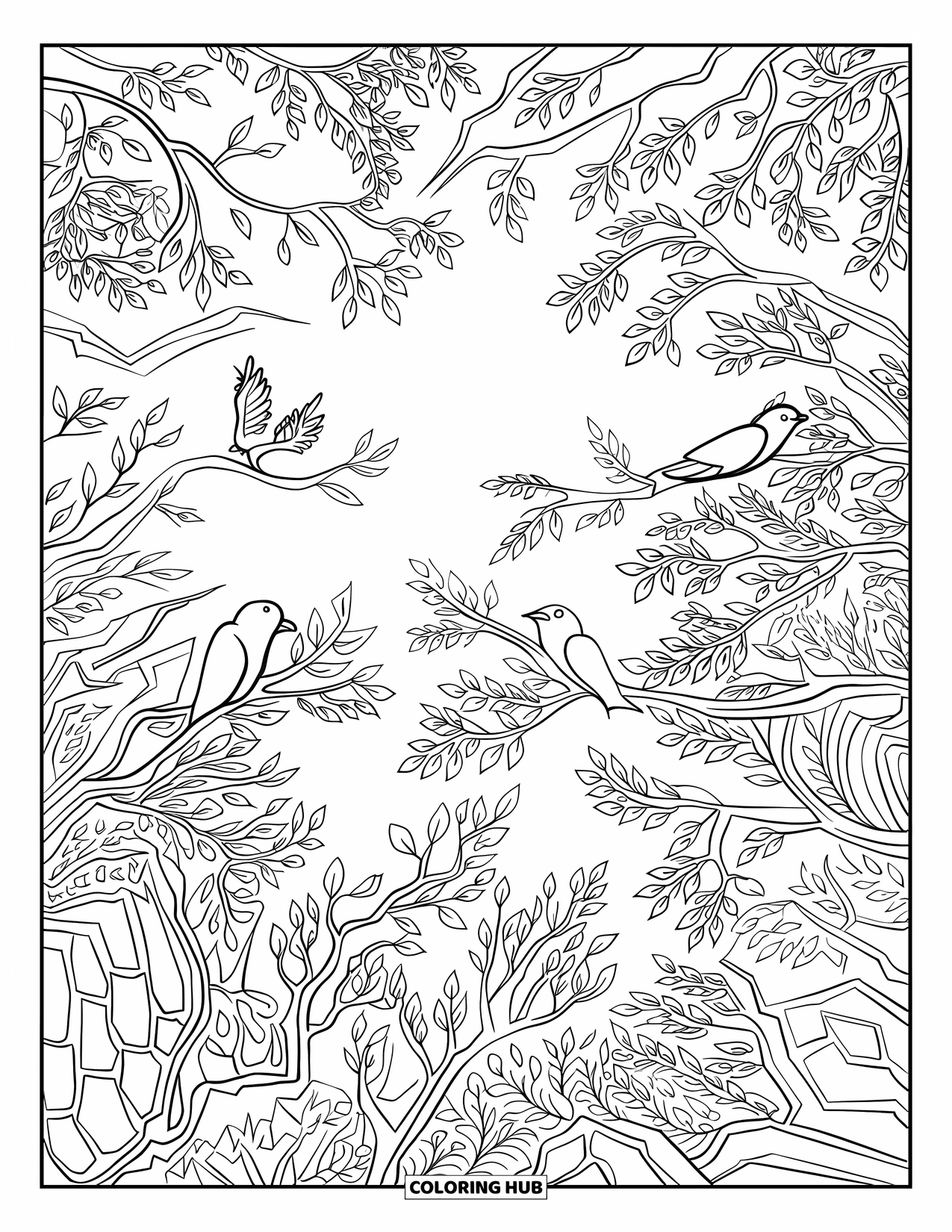 Dibujo de bosque para colorear para adultos: Pájaros y hojas estampadas llenan el cielo en un frondoso dosel forestal