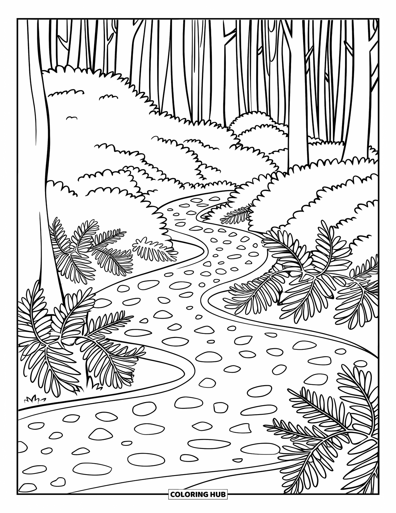 Dibujo de un bosque para colorear para niños: Un sendero forestal serpentea a través de helechos, rocas y formas de árboles juguetonas