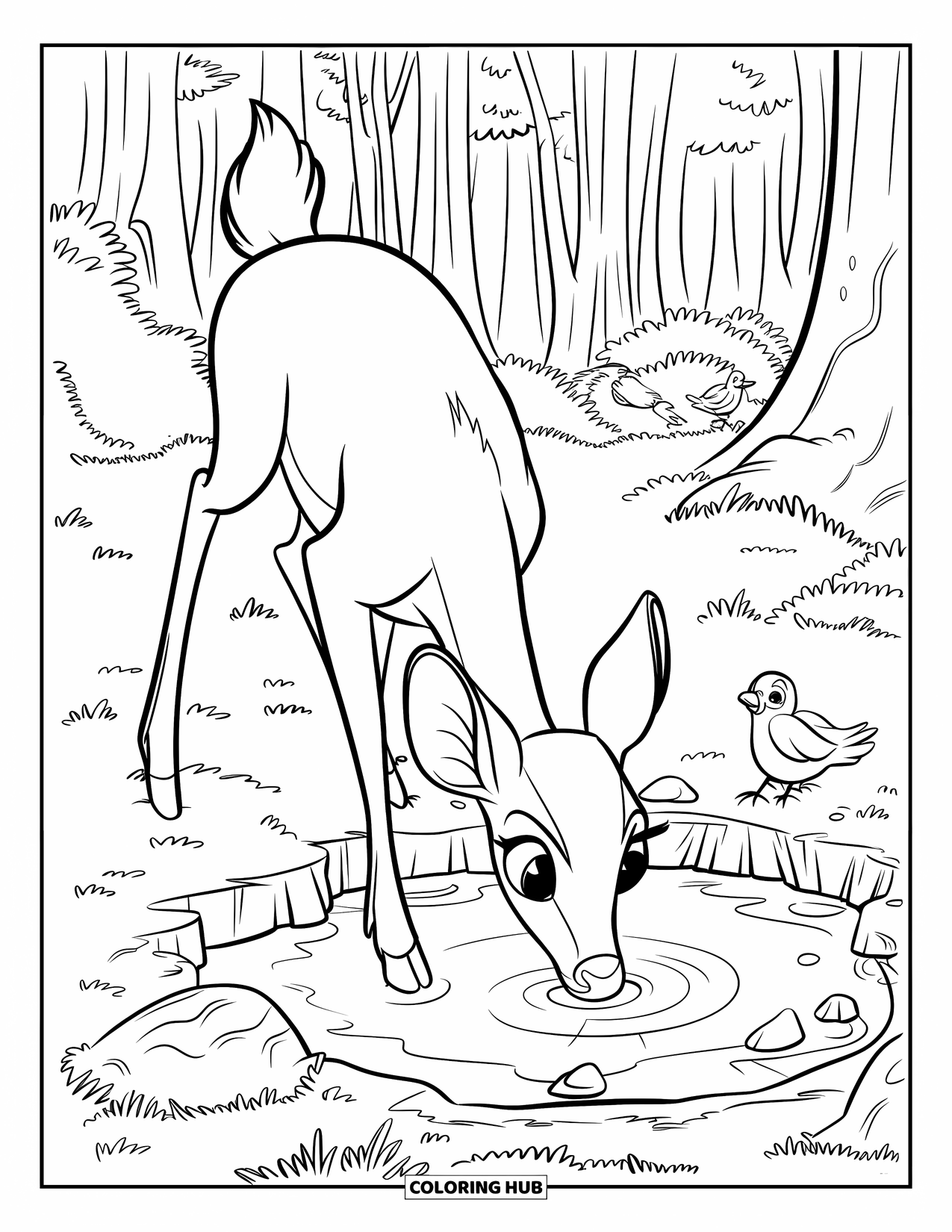 Dibujo de un bosque para colorear para niños: Un ciervo gentil bebe de un estanque mientras los pájaros se posan cerca en el bosque