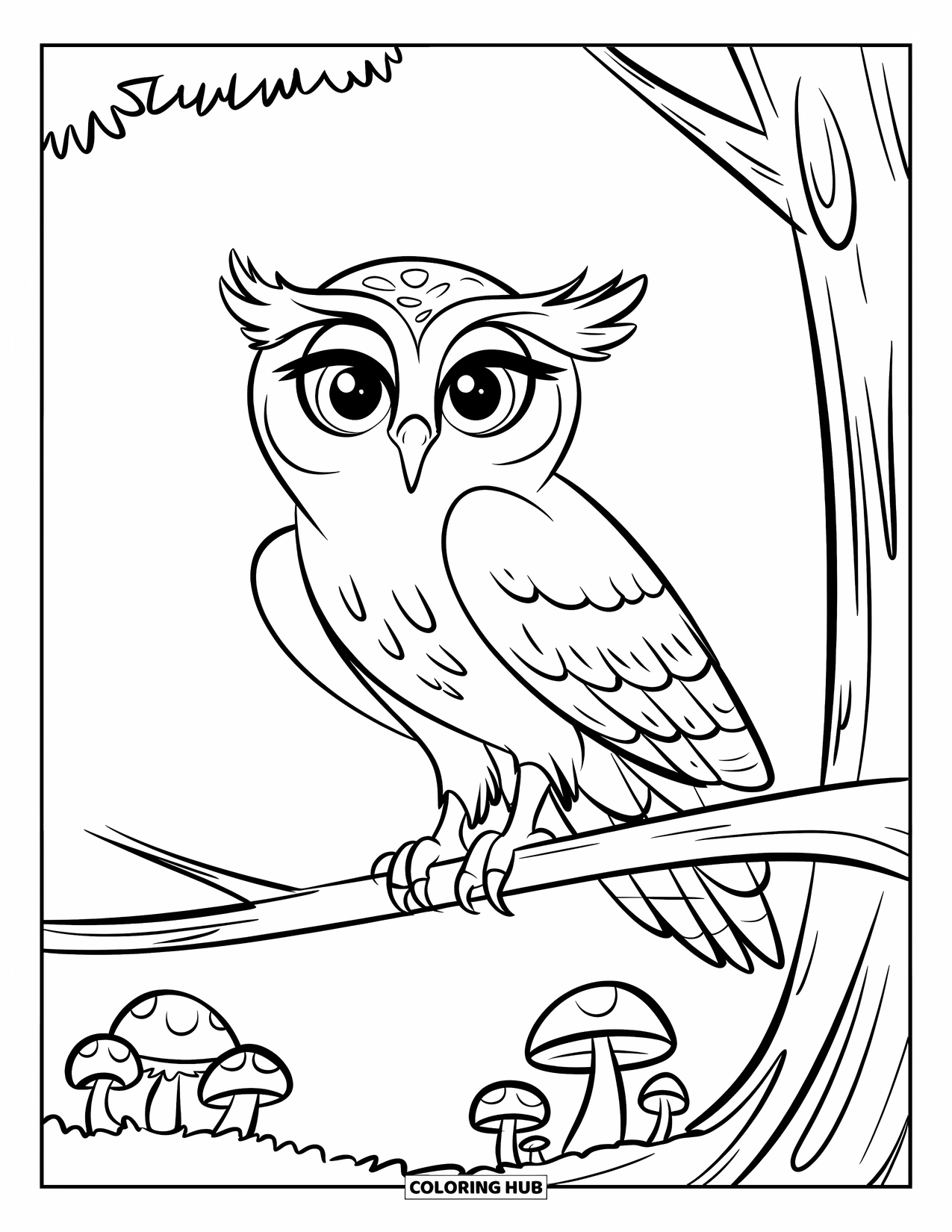 Dibujo de un bosque para colorear para niños: Un búho con ojos grandes se sienta en una rama curva sobre pequeñas setas