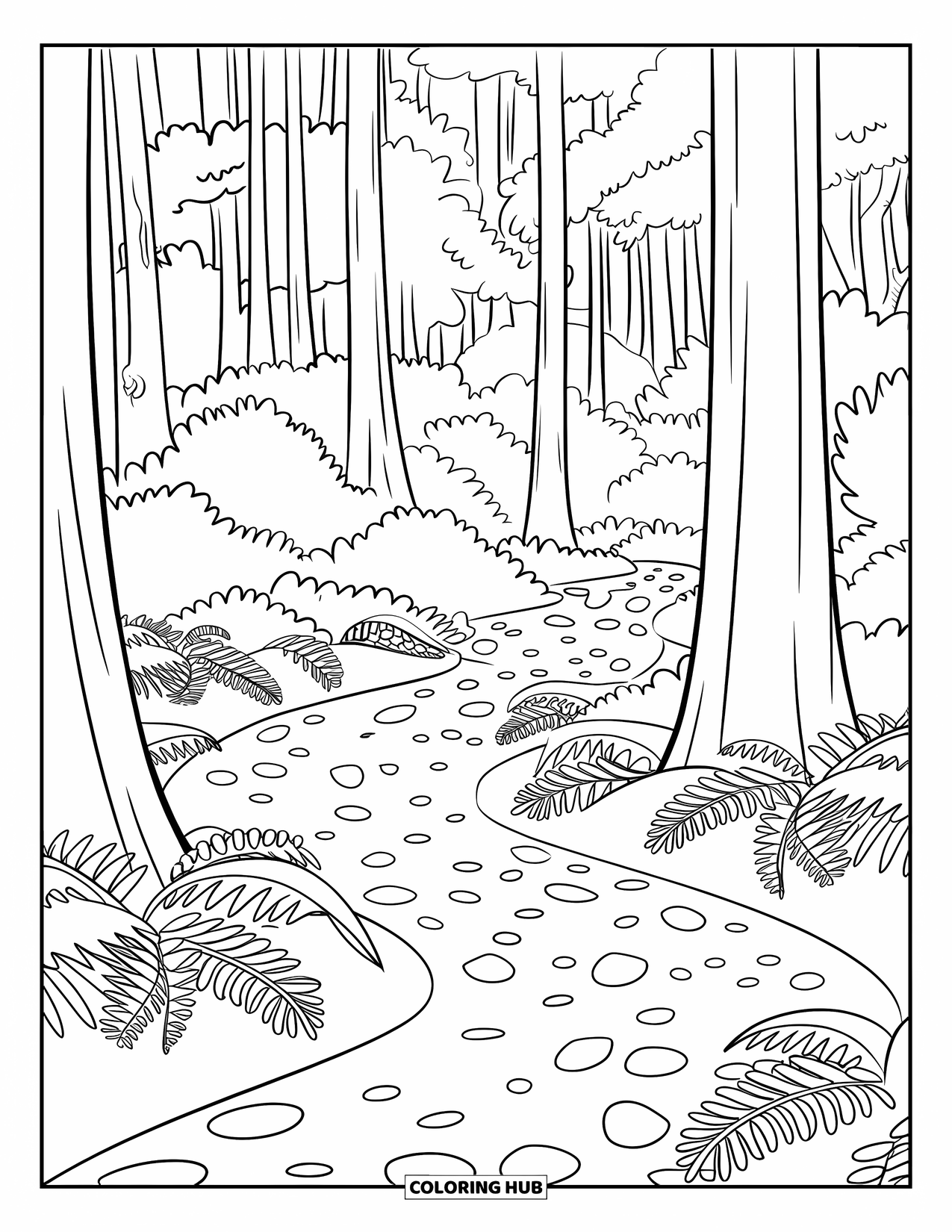 Dibujo de un bosque para colorear para niños: Helechos y guijarros bordean un sendero forestal a través de árboles gruesos e imponentes