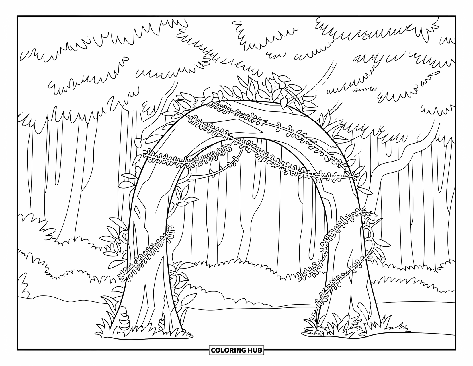 Dibujo de un bosque para colorear para niños: Un arco mágico de enredaderas y ramas te da la bienvenida a un bosque denso y encantador
