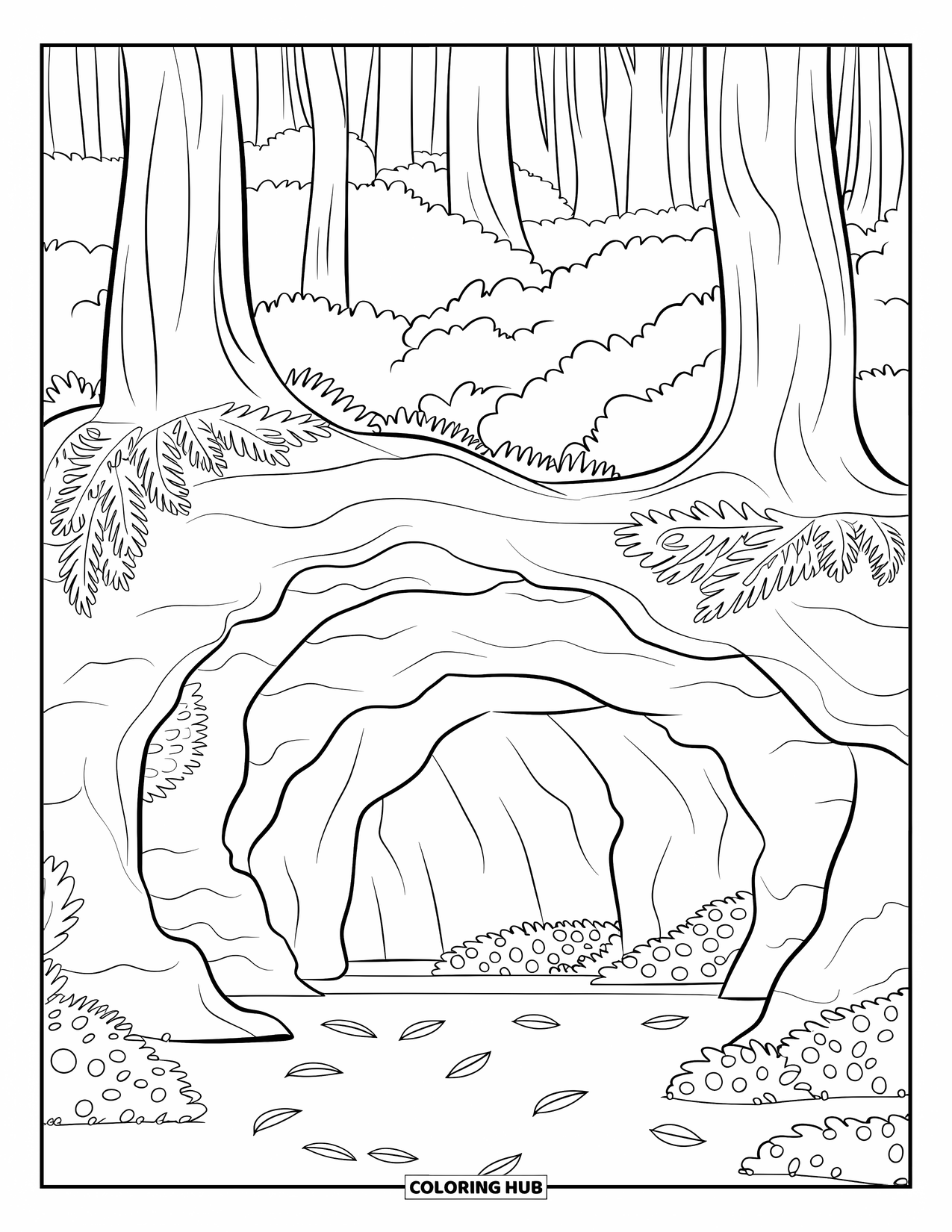 Dibujo de un bosque para colorear para niños: Las raíces de un árbol cubren parcialmente una cueva natural en un bosque tranquilo