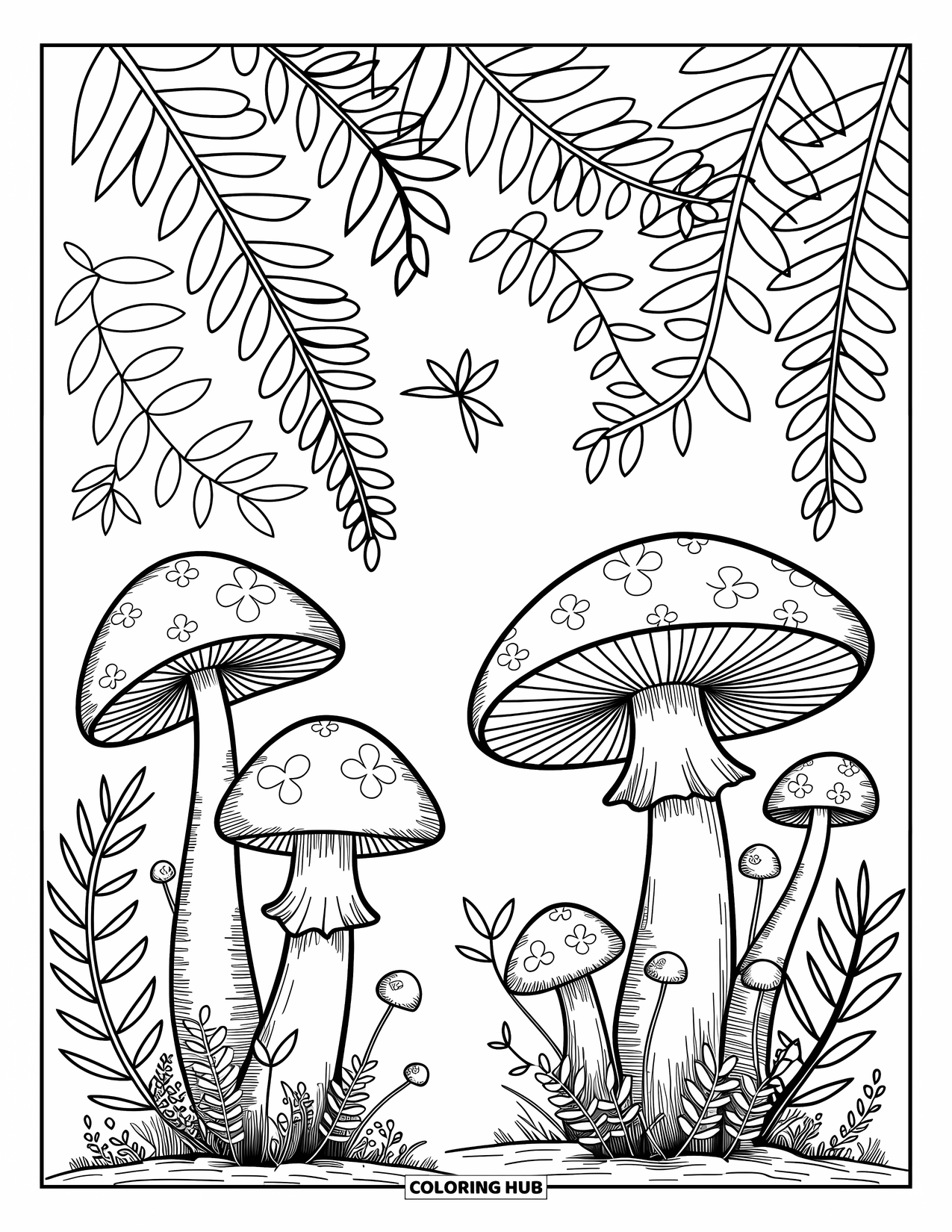 Klavertjevier Kleurplaat voor Volwassenen: Paddenstoelen met klavers en varens in een magisch bos