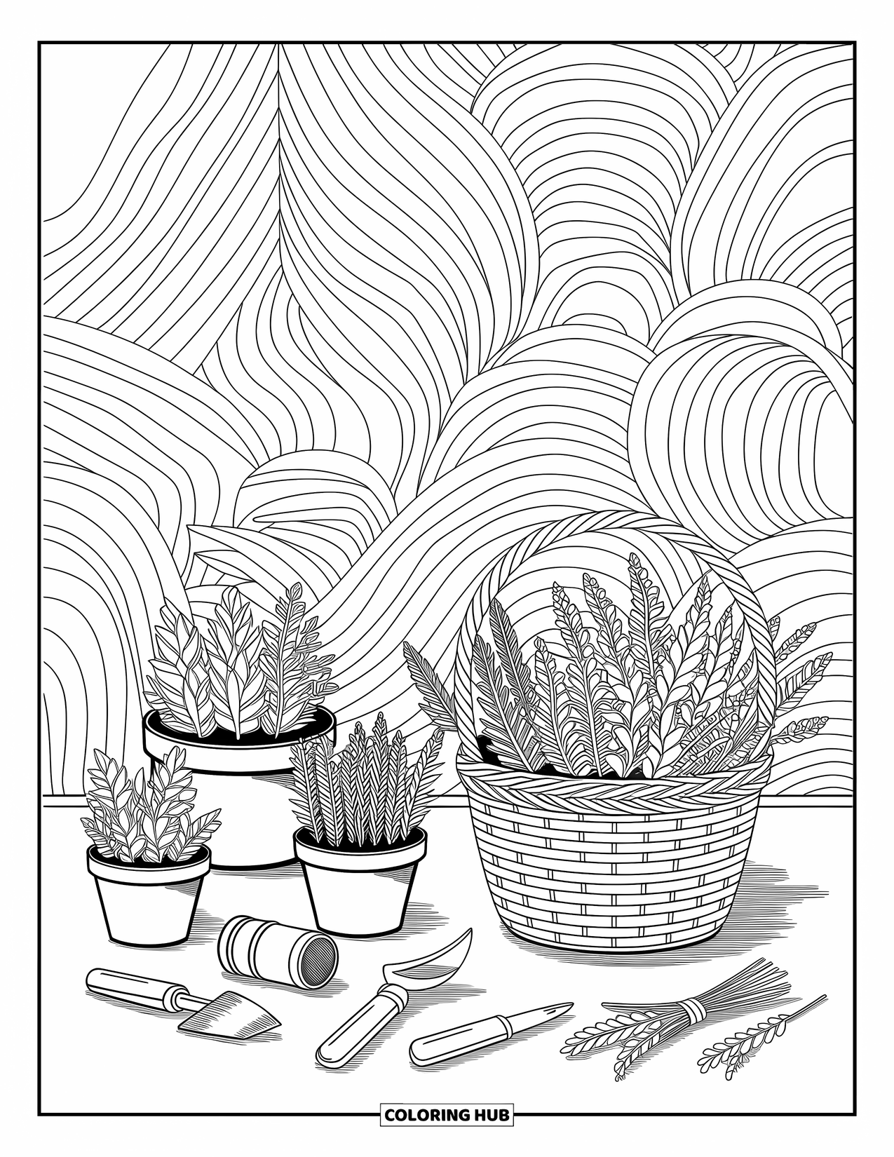 Desen de colorat cu grădină pentru adulți: O grădină capricioasă de ierburi aromatice, cu ghivece etichetate, unelte mici și modele frunzoase