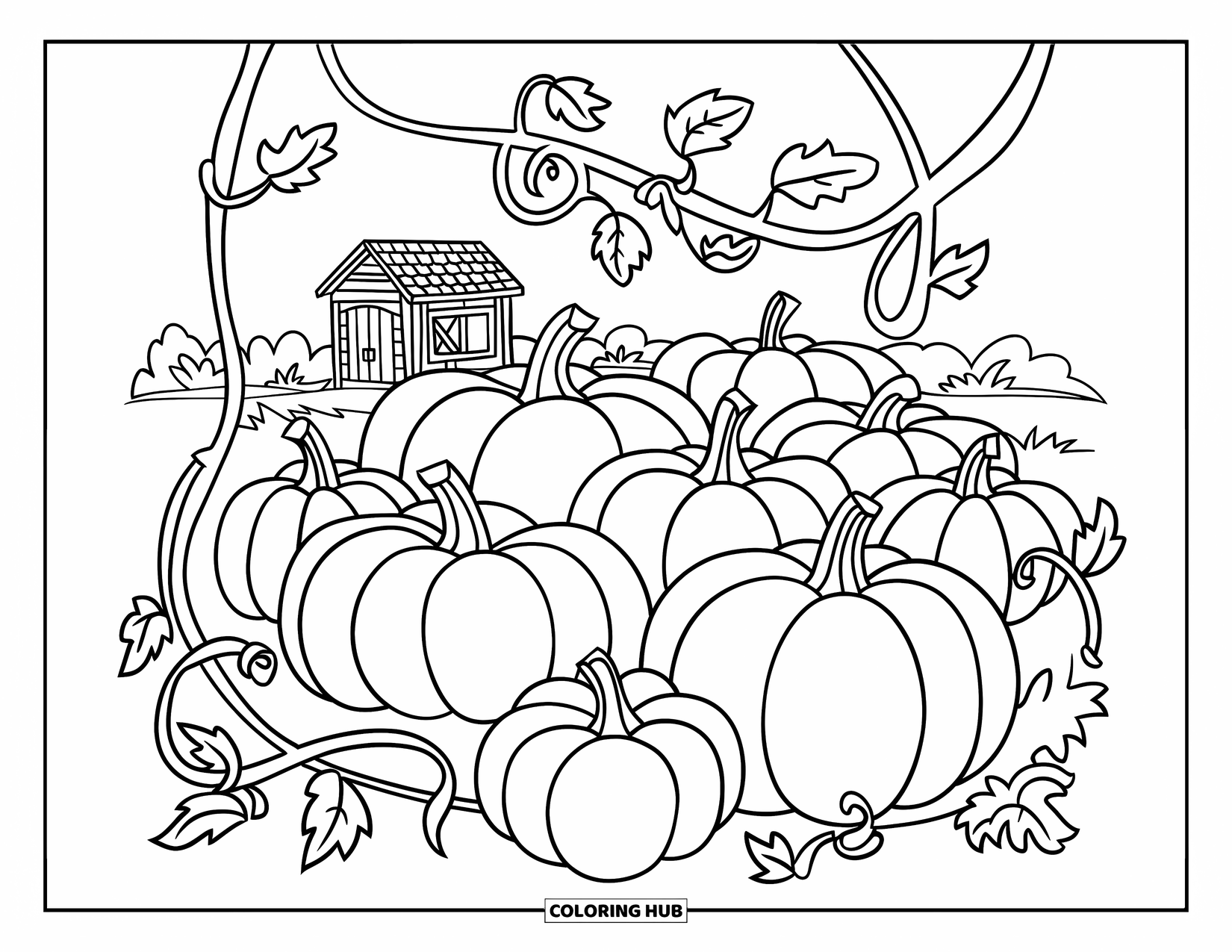 Desen de colorat cu grădină pentru copii: Un câmp confortabil de dovleci de toamnă cu o magazie mică de lemn și viță de vie cu frunze