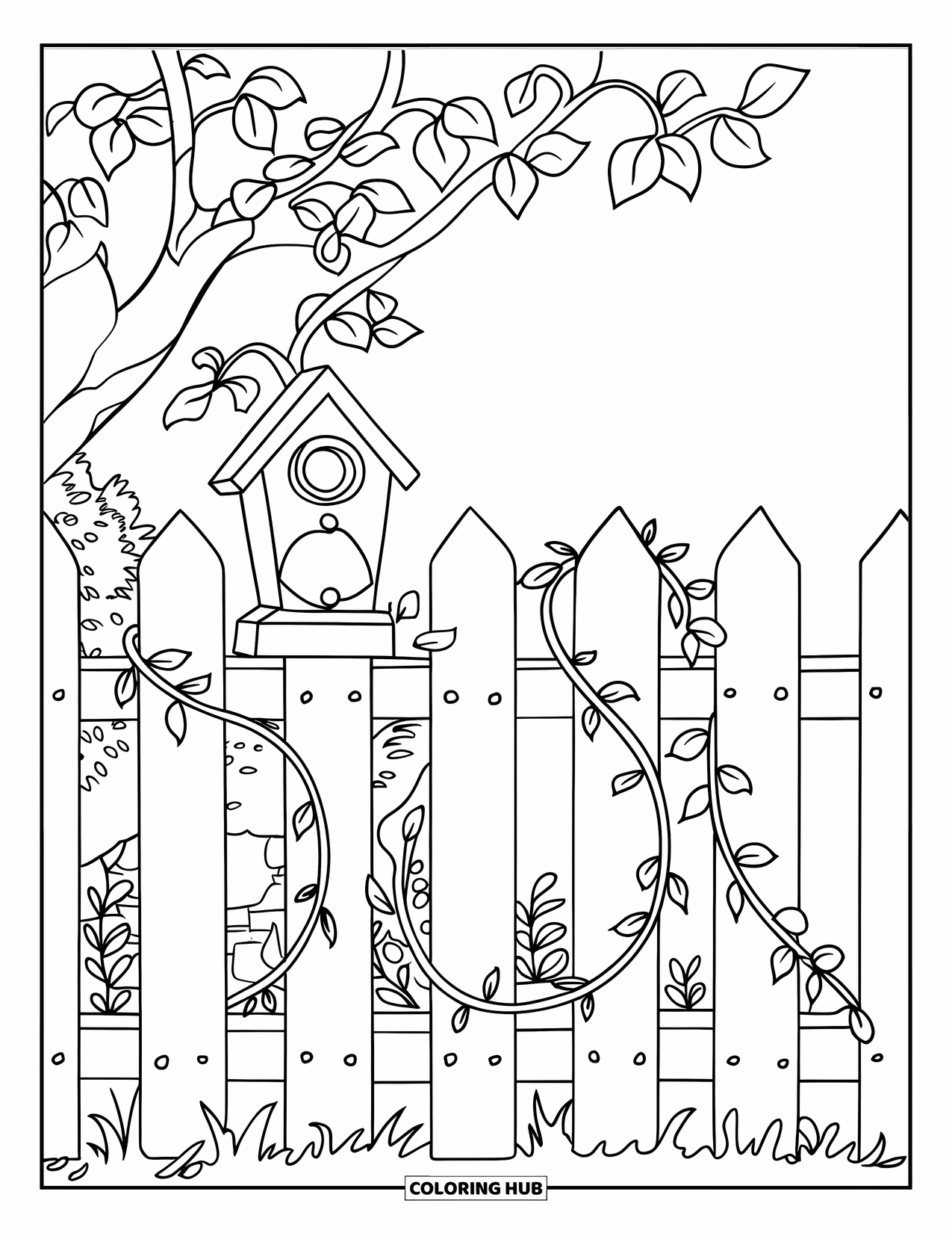 Desen de colorat cu grădină pentru copii: Un gard confortabil în curtea din spate, cu o căsuță pentru păsări atârnând printre vița de vie verde șerpuitoare