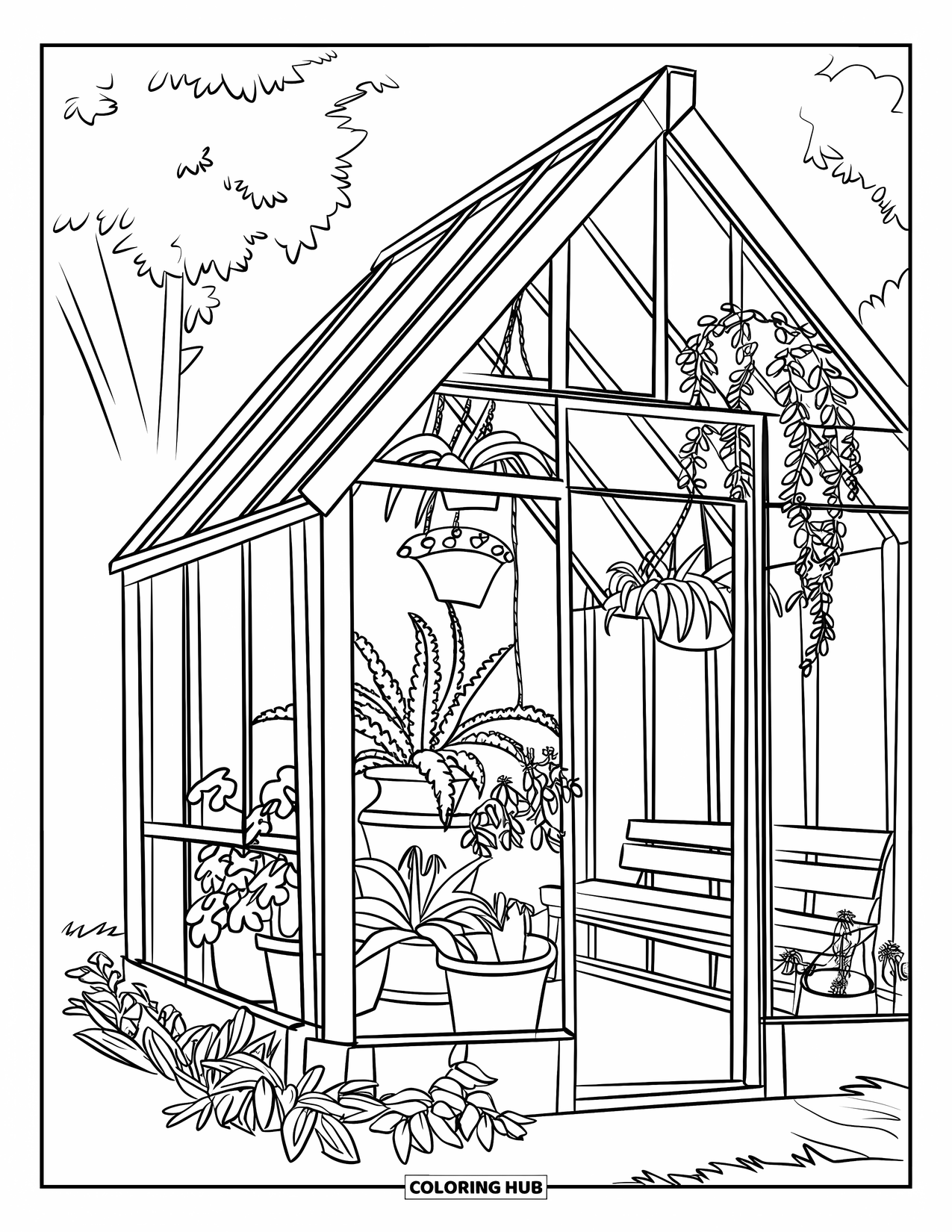 Desen de colorat cu grădină pentru copii: O seră plină cu ferigi, plante în ghivece și viță de vie agățătoare