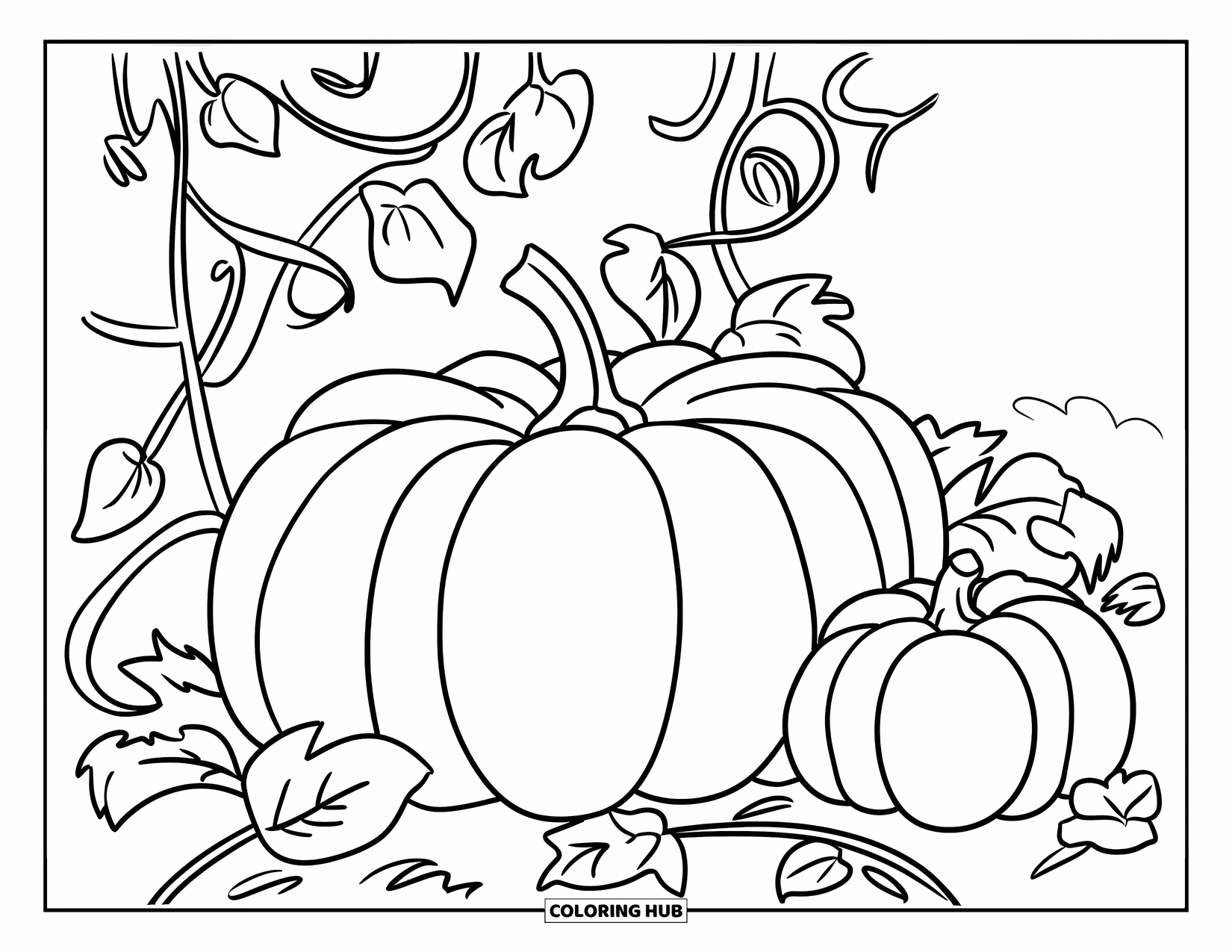 Desen de colorat cu grădină pentru copii: Un câmp de dovleci cu viță de vie întinsă și o magazie mică de grădină în fundal