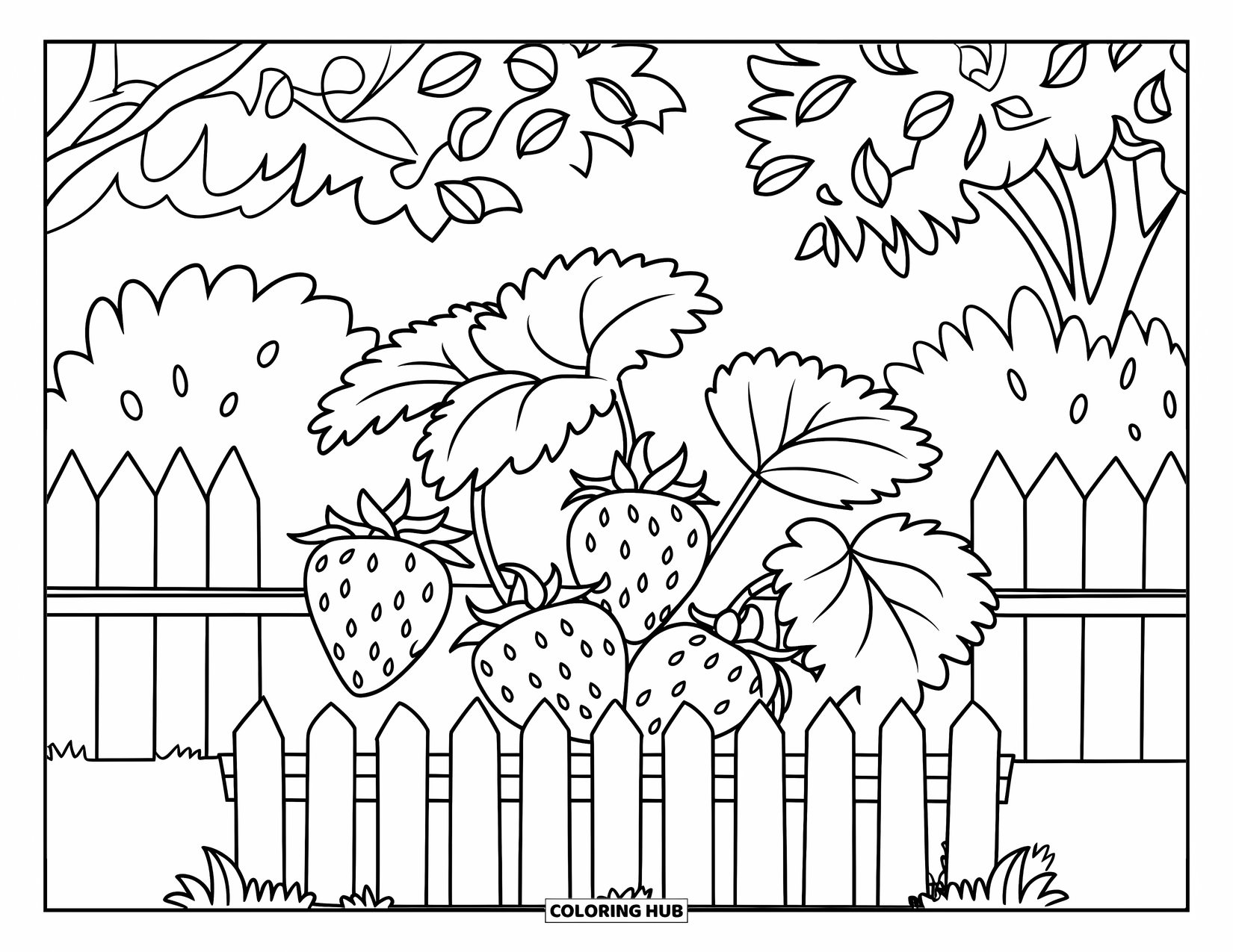 Desen de colorat cu grădină pentru copii: Un strat dulce de căpșuni cu fructe de pădure coapte care se ivesc printre frunzele verzi