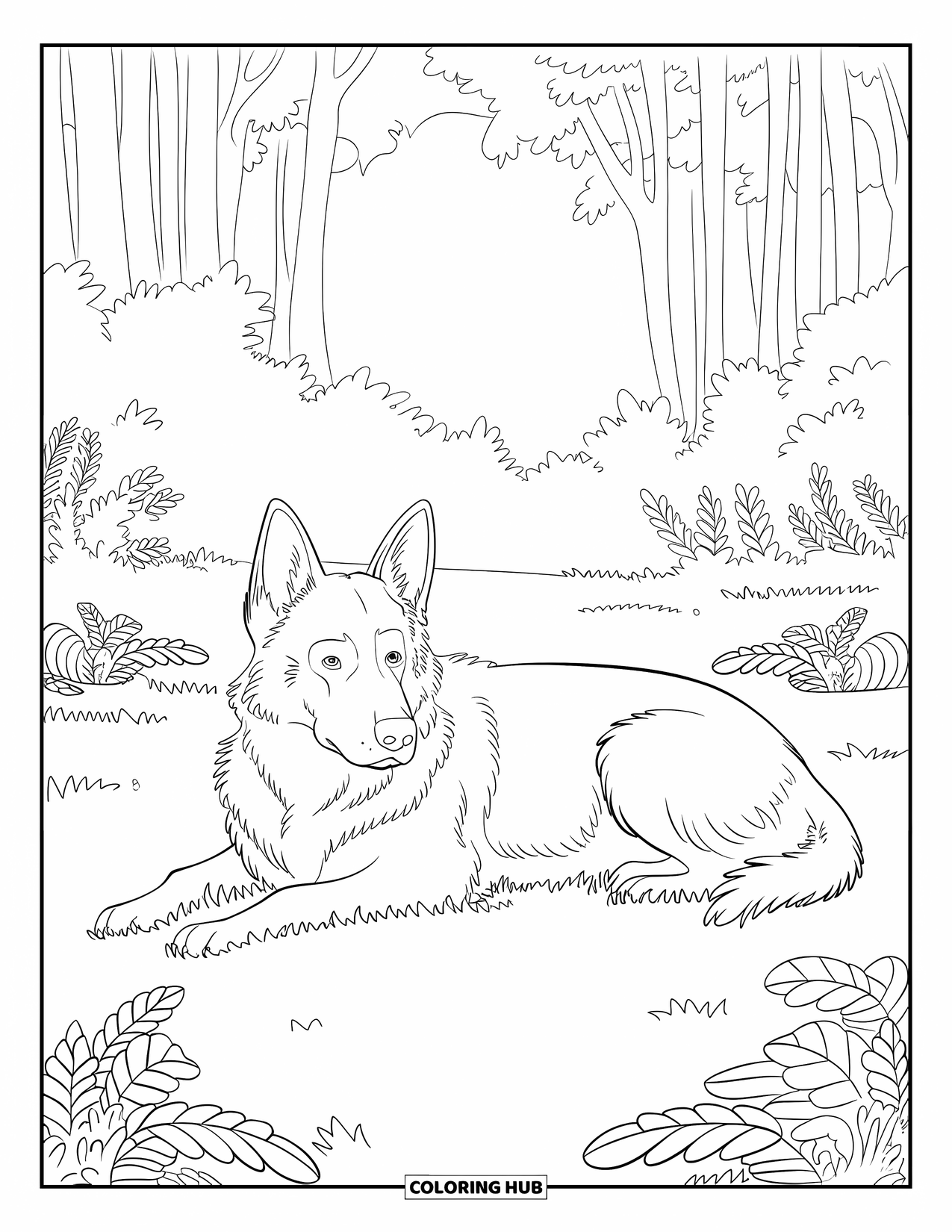 Desenho de Pastor Alemão para Adultos: Um Pastor Alemão calmo descansa em uma clareira gramada cercada por folhas e plantas da floresta