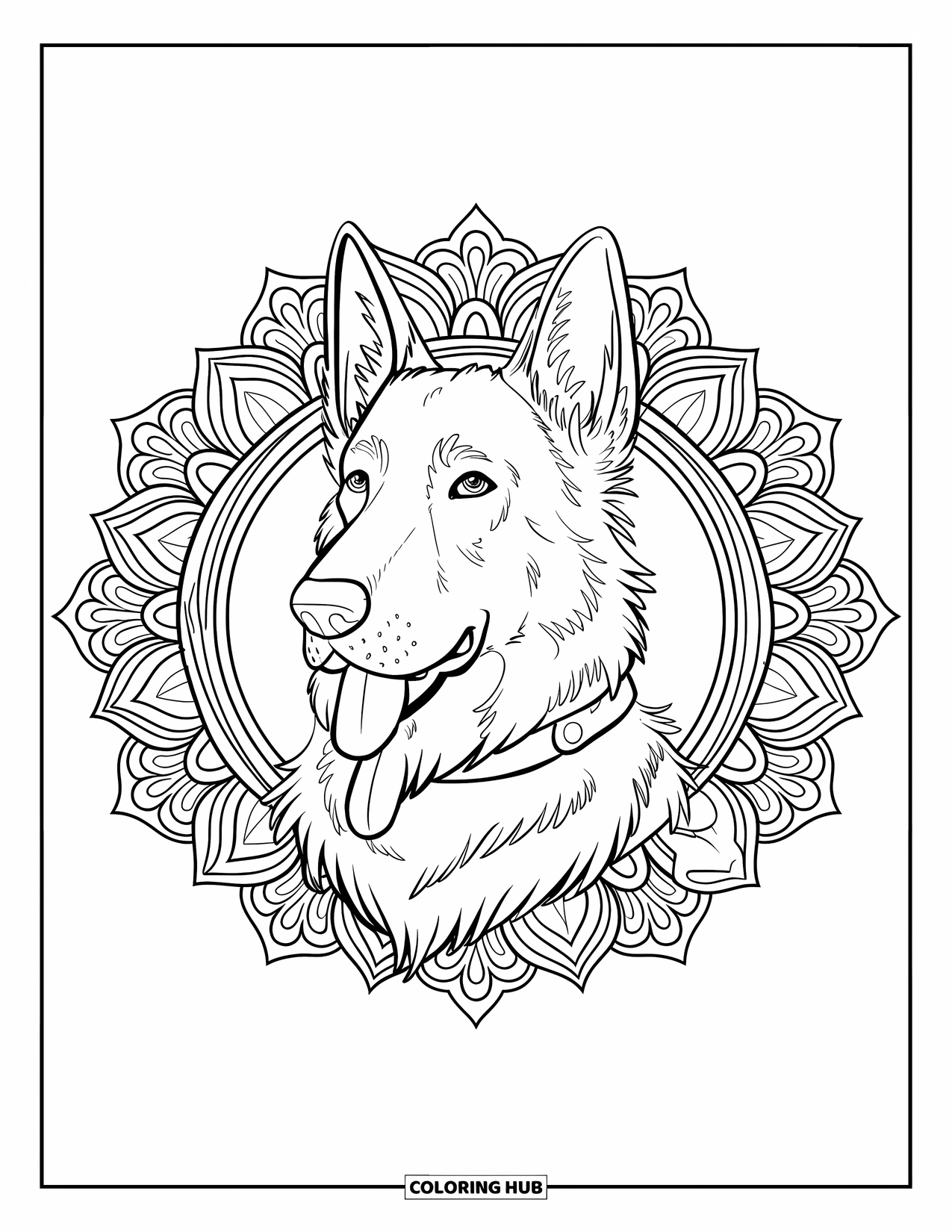 Desenho de Pastor Alemão para Adultos: A cabeça de um filhote real é emoldurada com mandalas florais e contornos limpos