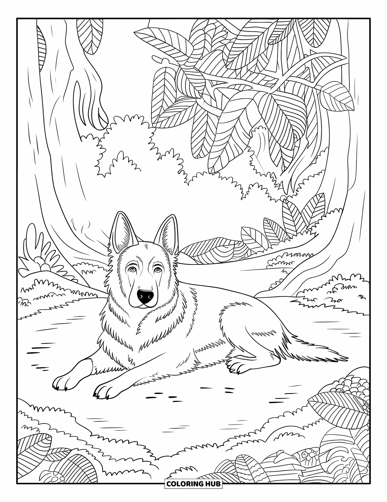 Desenho de Pastor Alemão para Adultos: Um filhote relaxado está deitado em uma clareira na floresta com musgo, folhas e árvores altas ao redor