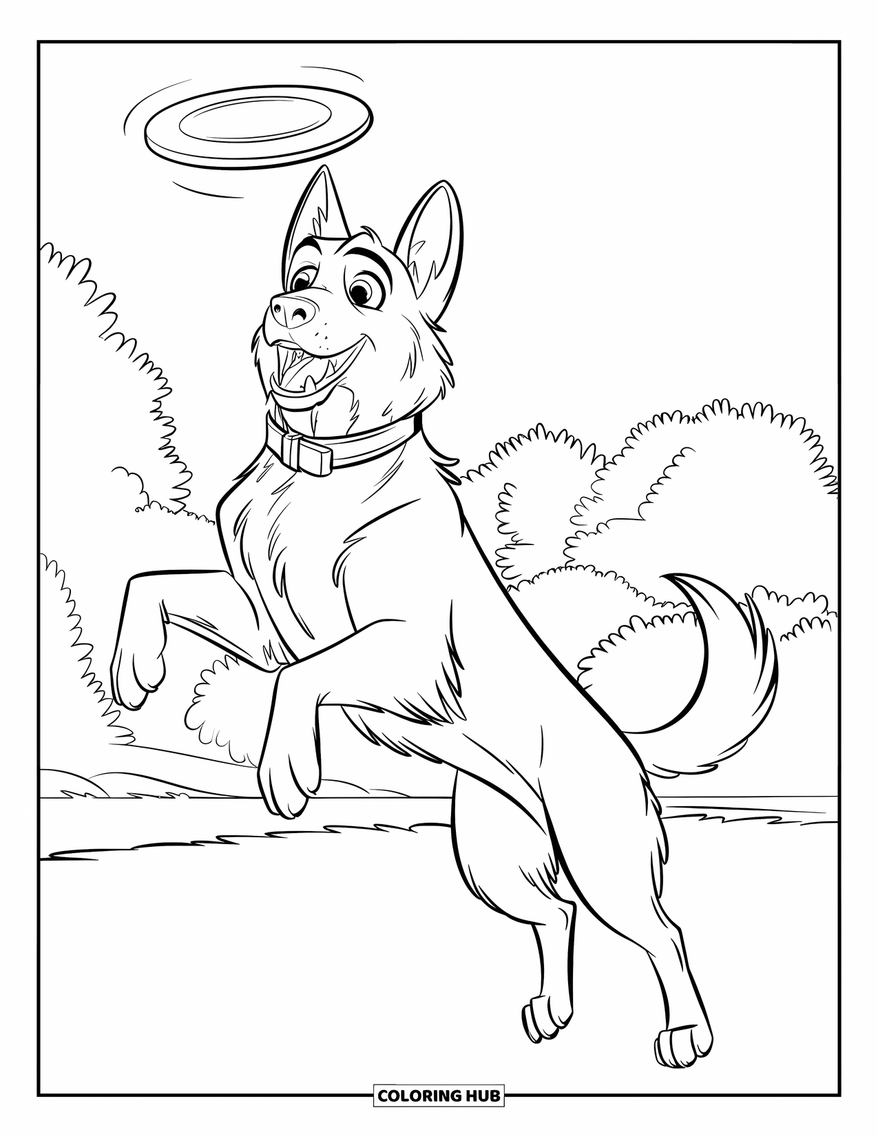 Desenho de Pastor Alemão para Colorir para Crianças: Um Pastor Alemão salta para pegar um frisbee voador